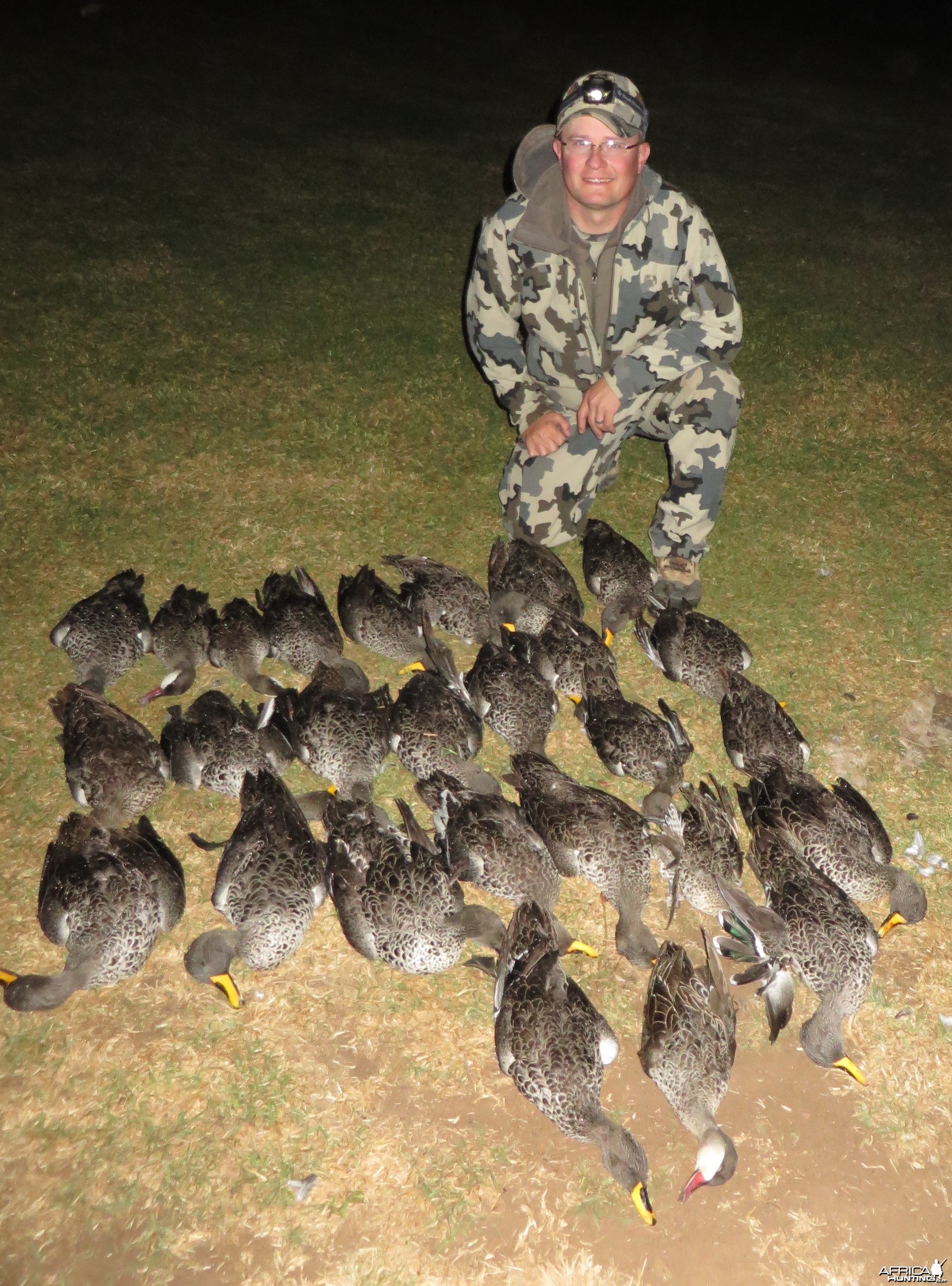 Yellow-billed ducks &amp; Red-billed teal - 2014