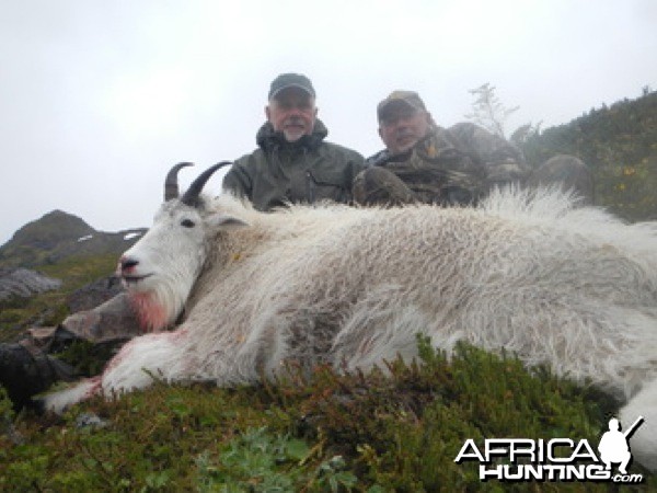 Hunting Mountain Goat in Alaska