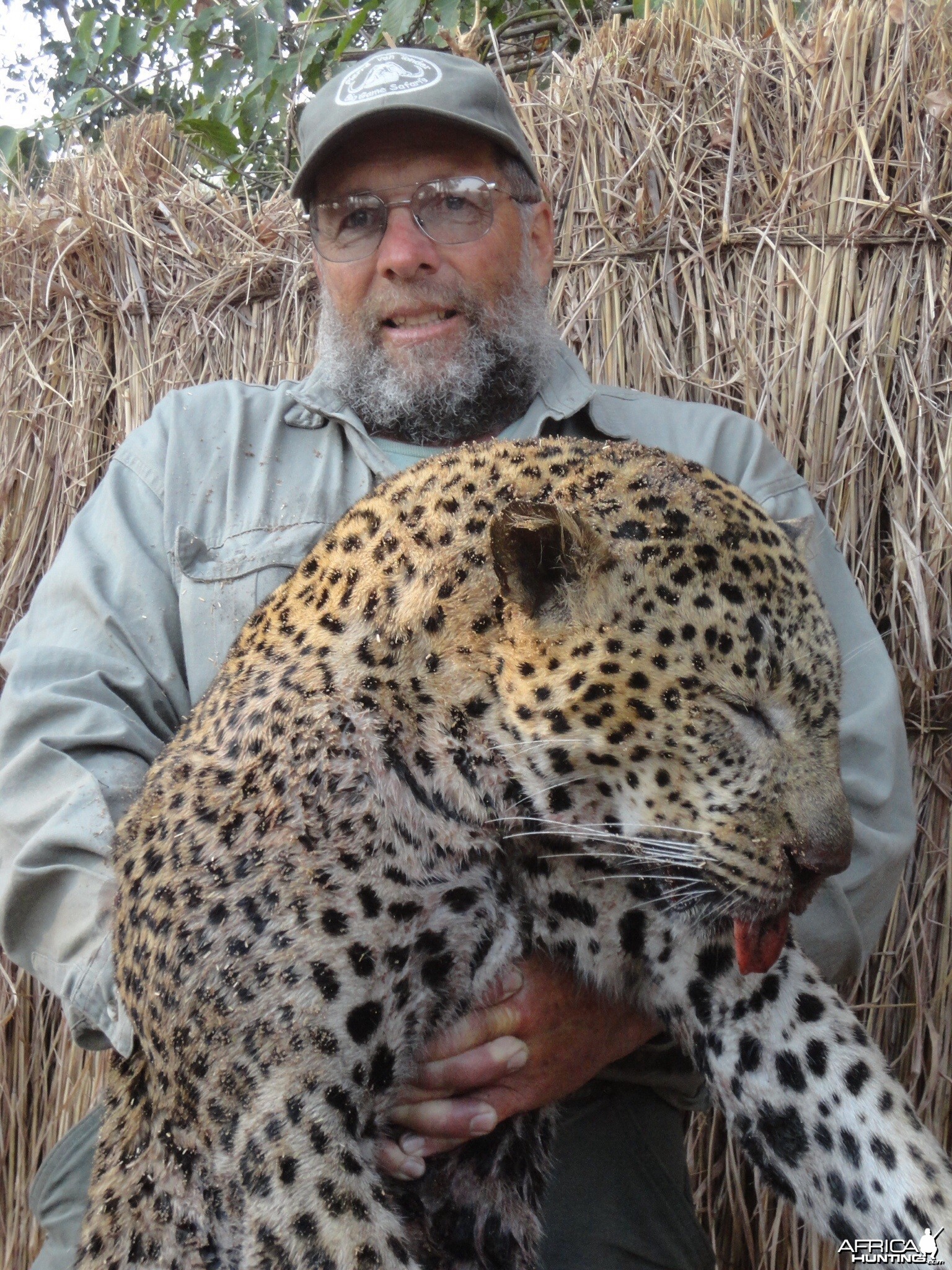 Leopard Tanzania