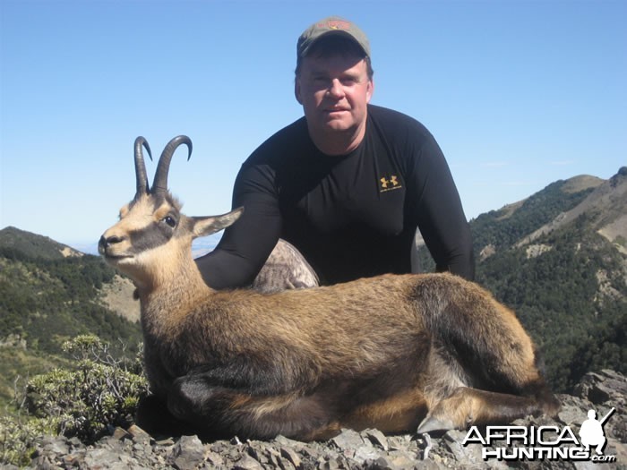 Chamois Hunt New Zealand