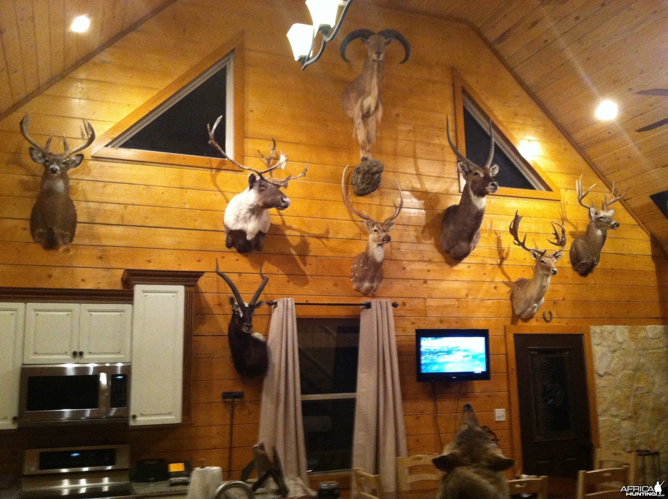 Trophy room