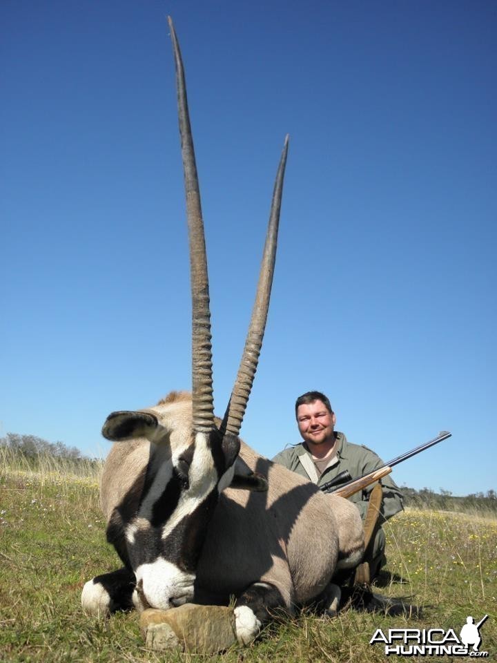 Gemsbok