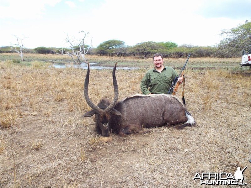 Kwazulu Natal Nyala