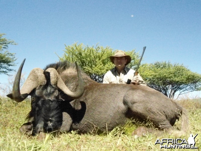 Black Wildebeest hunted with Ozondjahe Hunting Safaris in Namibia