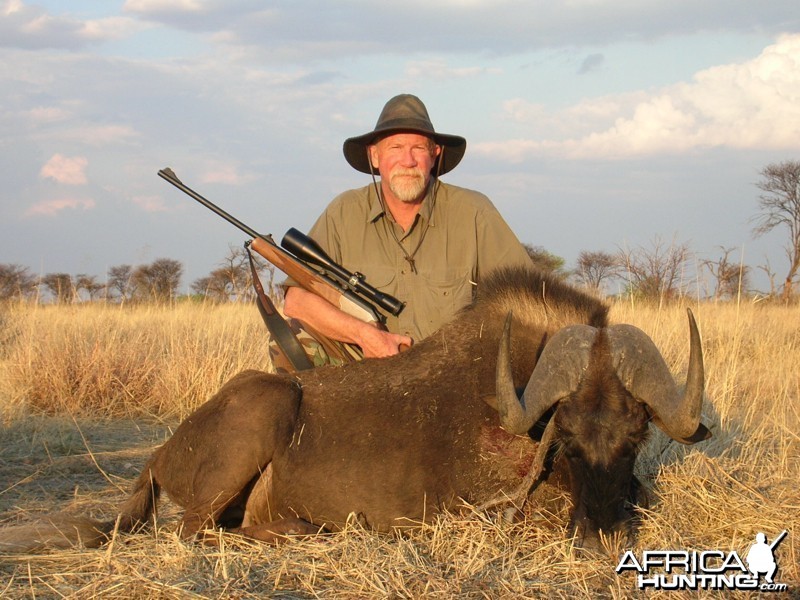 Black Wildebeest hunted with Ozondjahe Hunting Safaris in Namibia