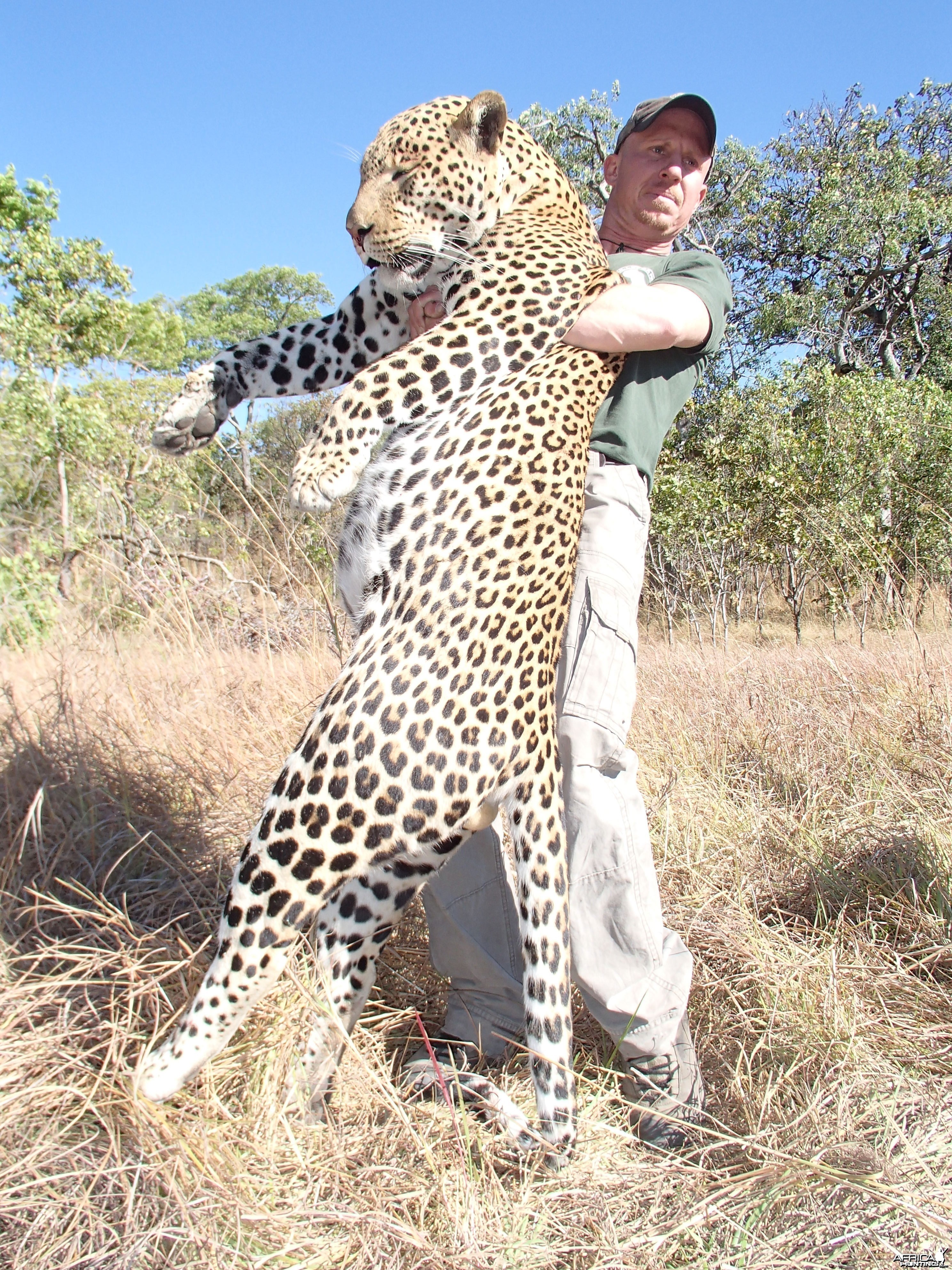 Bullet Safaris - Leopard