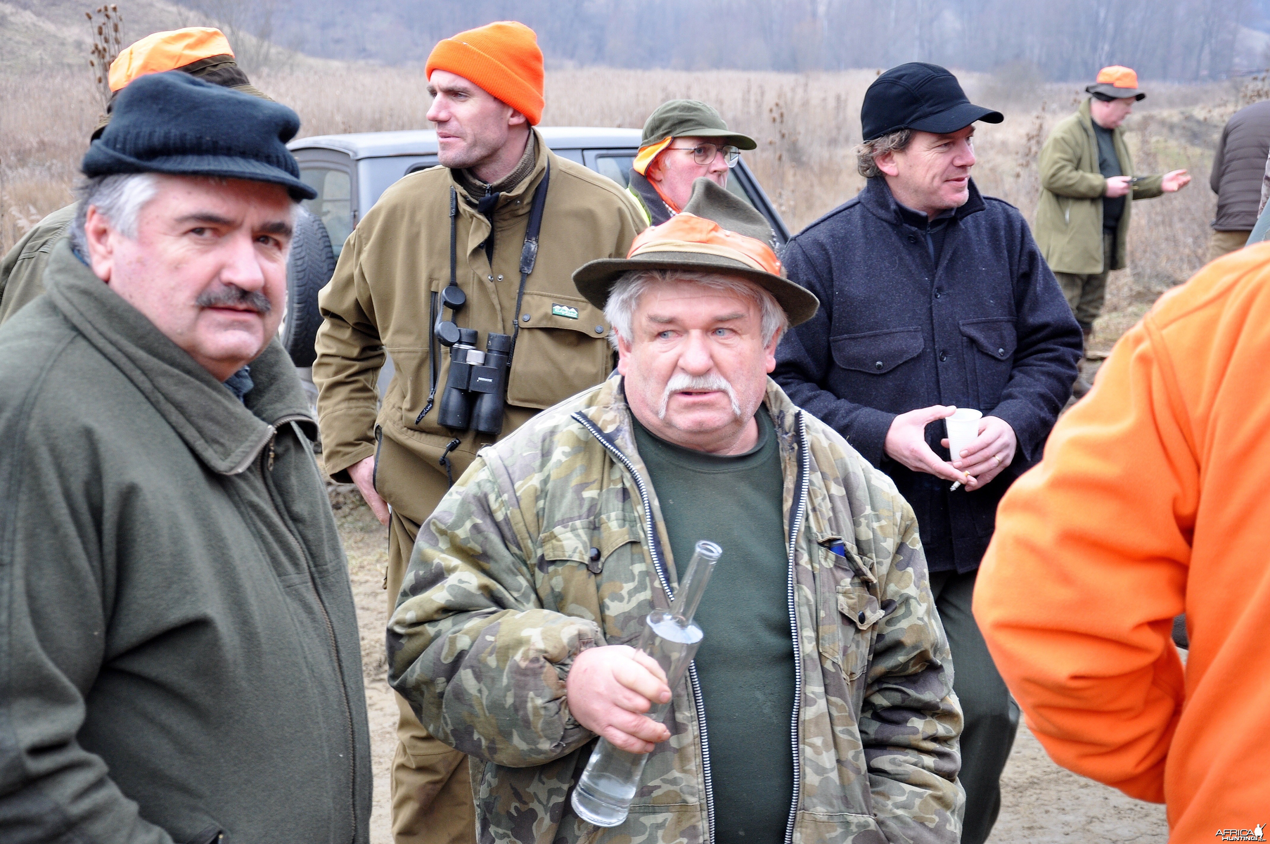 hungary driven boar hunt January 2015