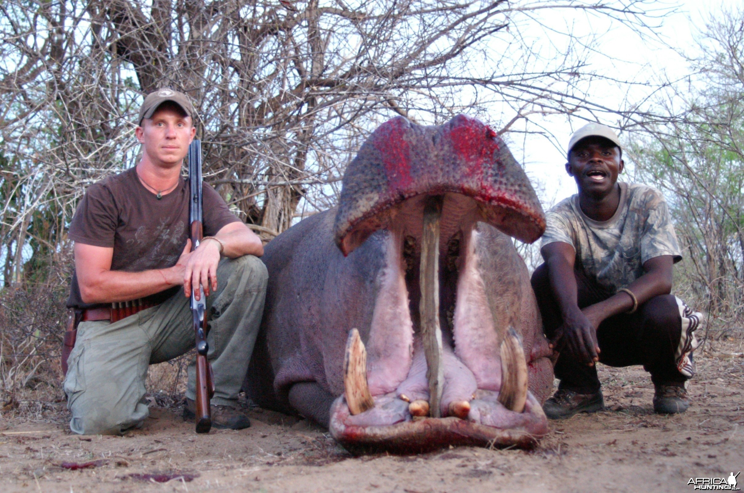 HIPPO selous game reserve