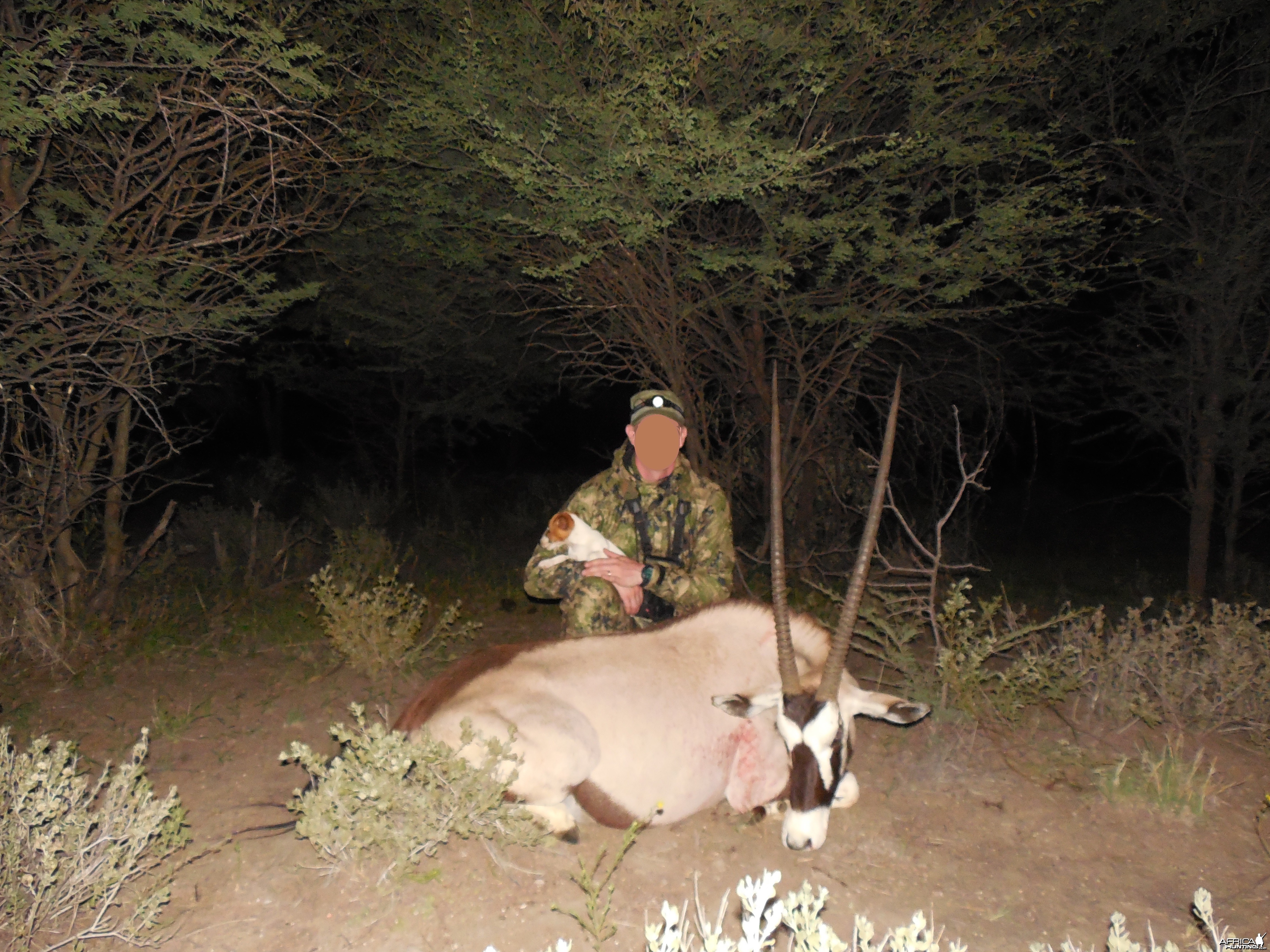 Oryx female