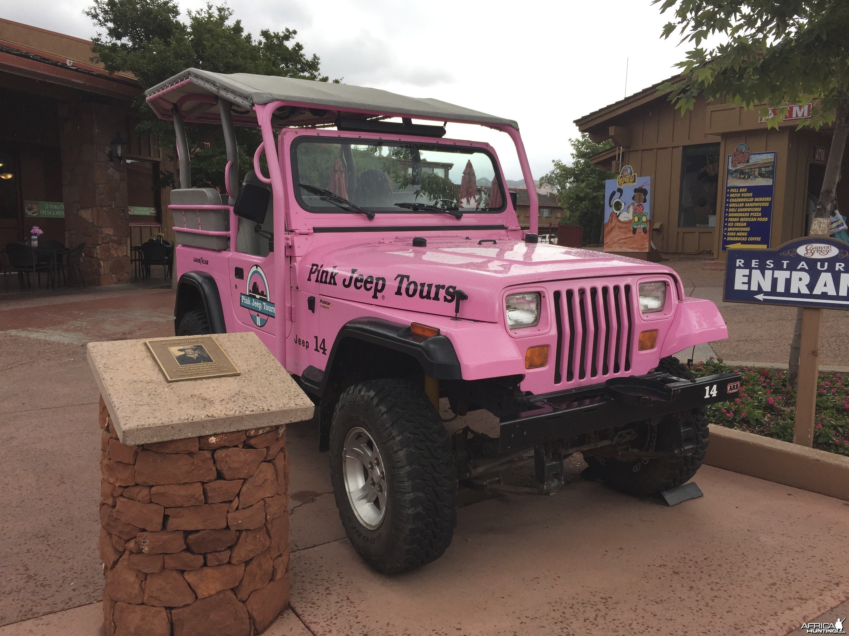 Pink Jeep