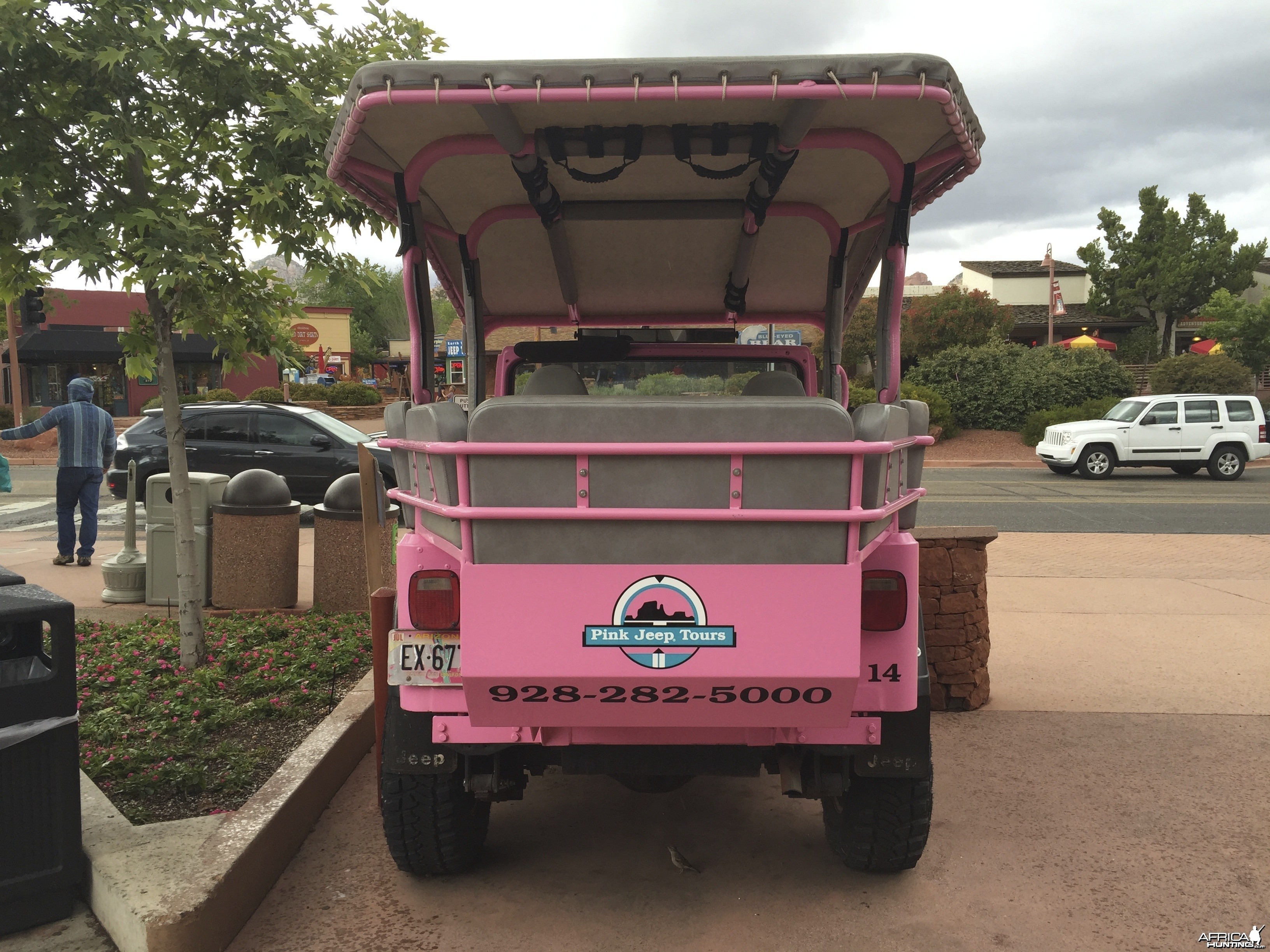 Pink Jeep