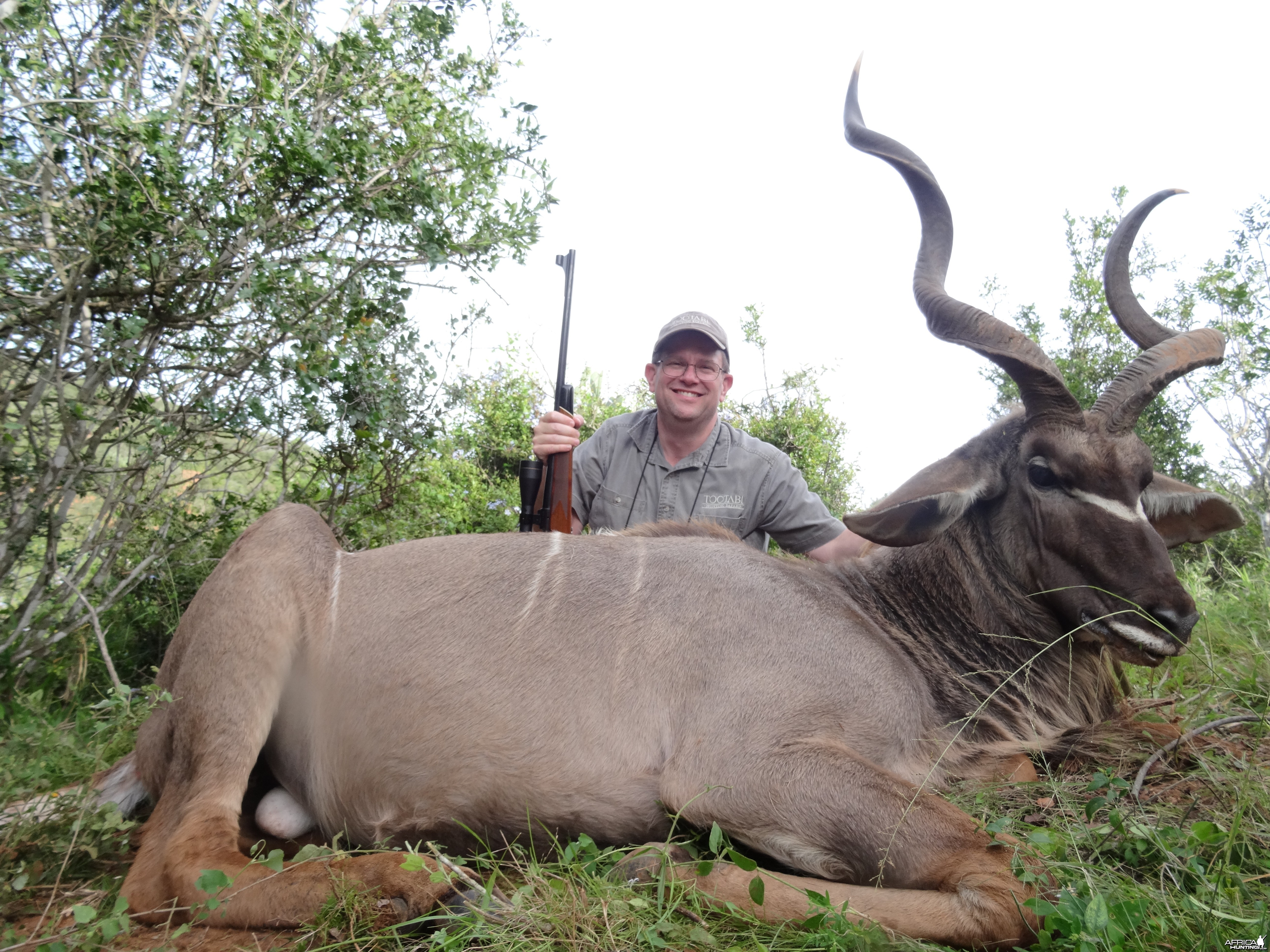 Kudu