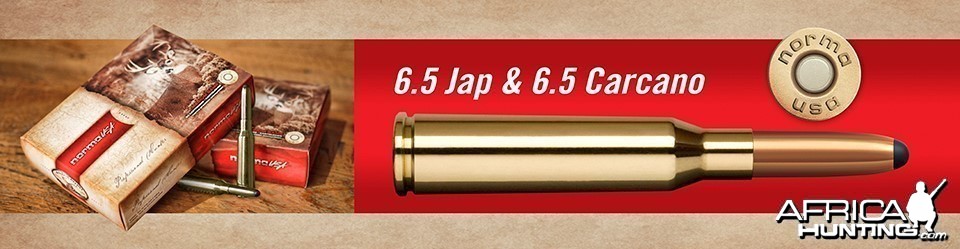 Norma 6.5 Jap &amp; 6.5 Carcano