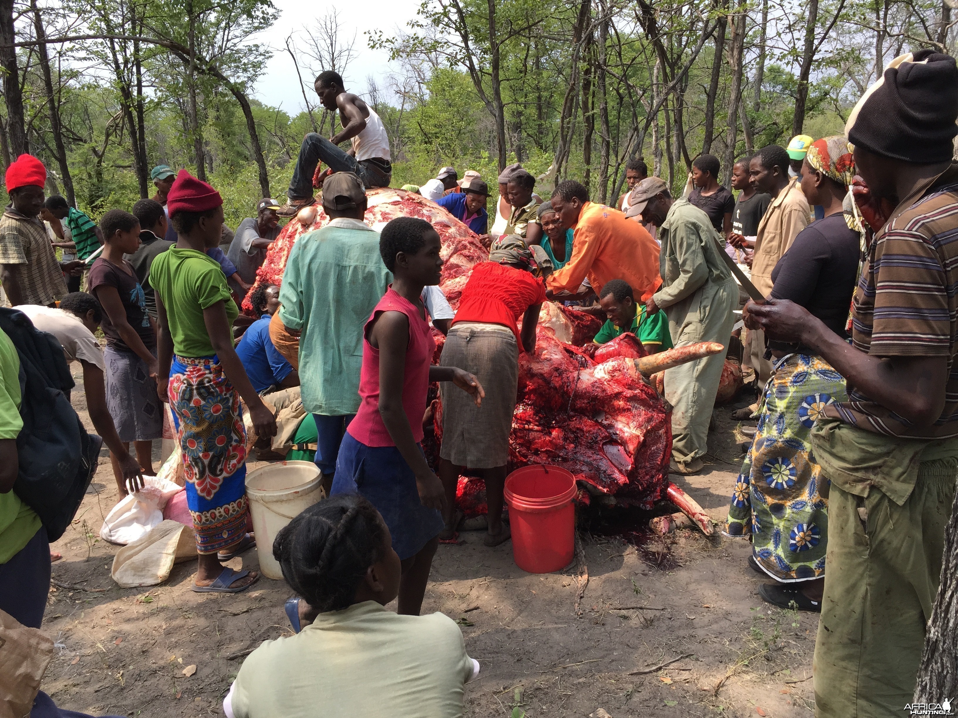 How To Feed 600 Locals