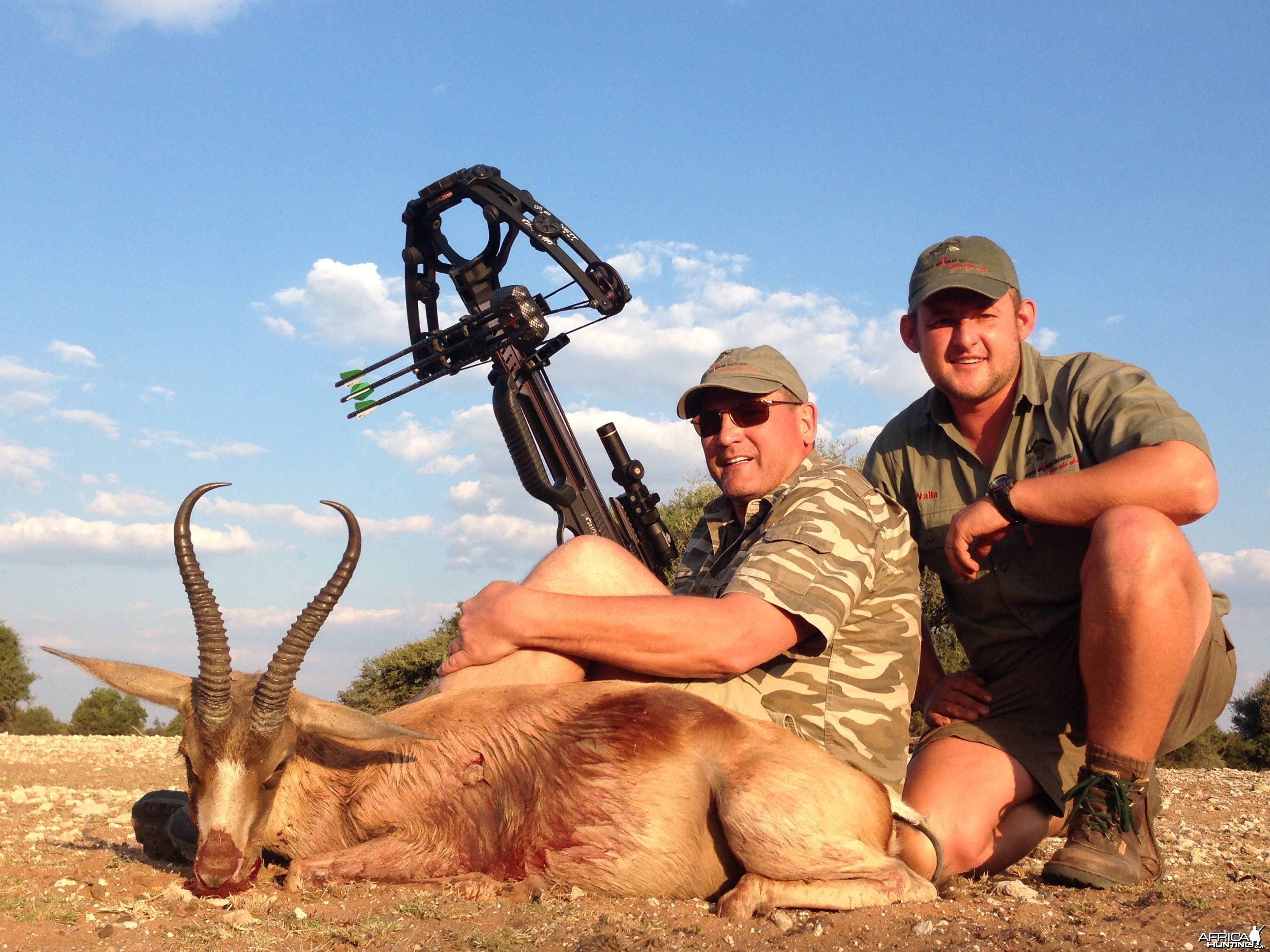 Copper Springbok - Crossbow