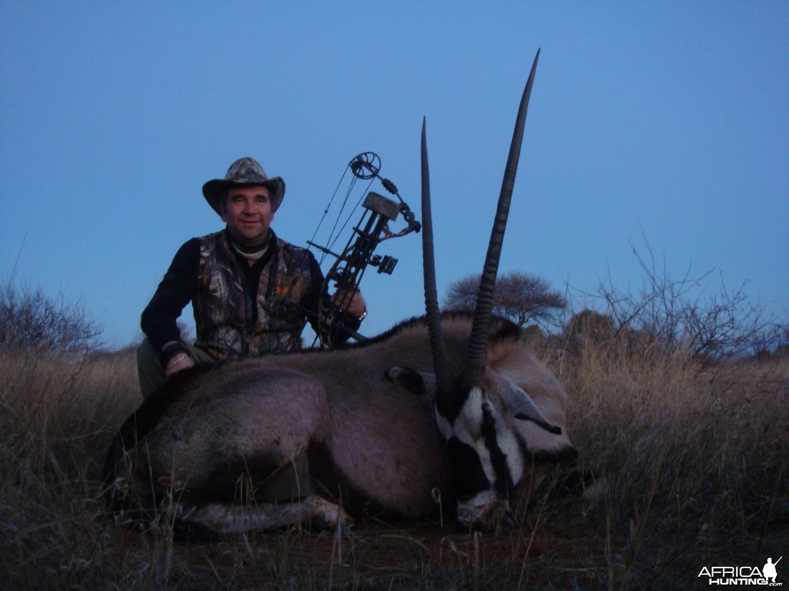 Gemsbok