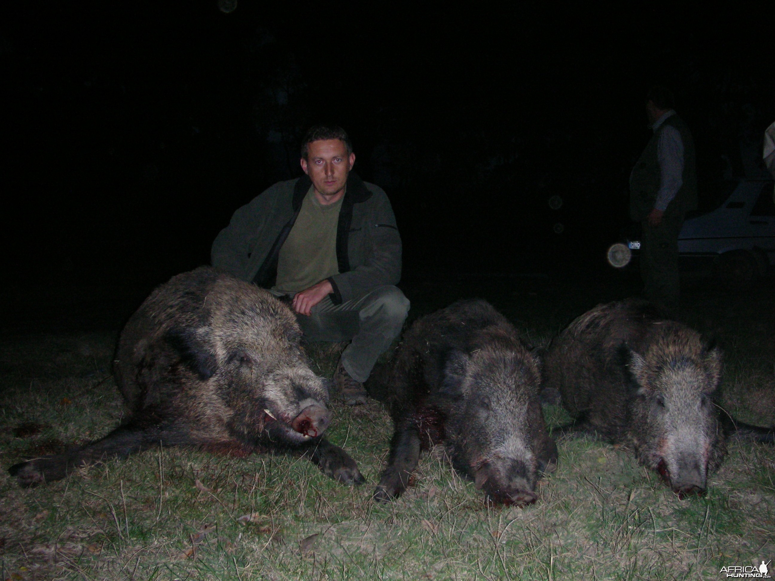 Boar Hunting in Romania