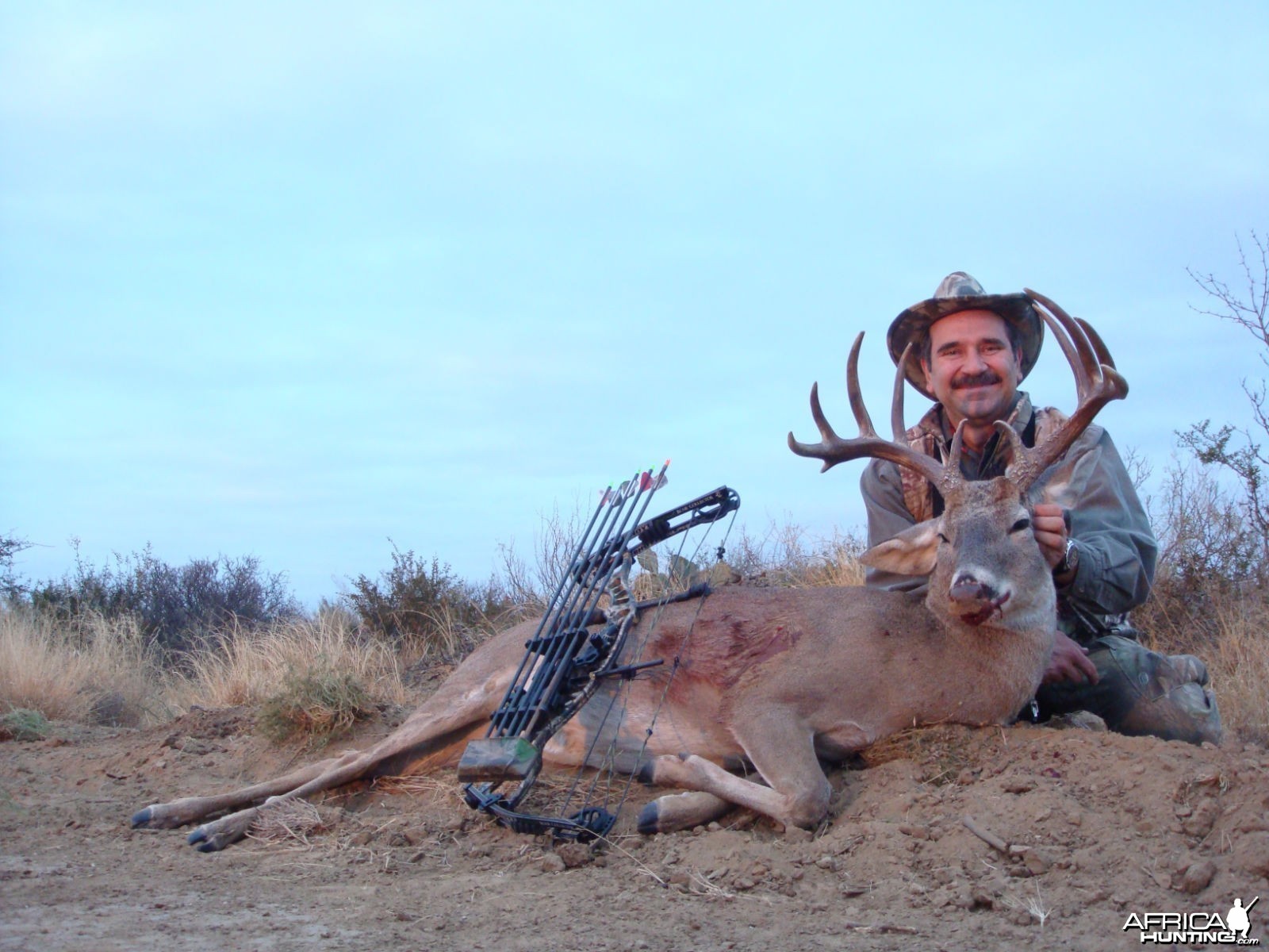 Buck North of Mexico