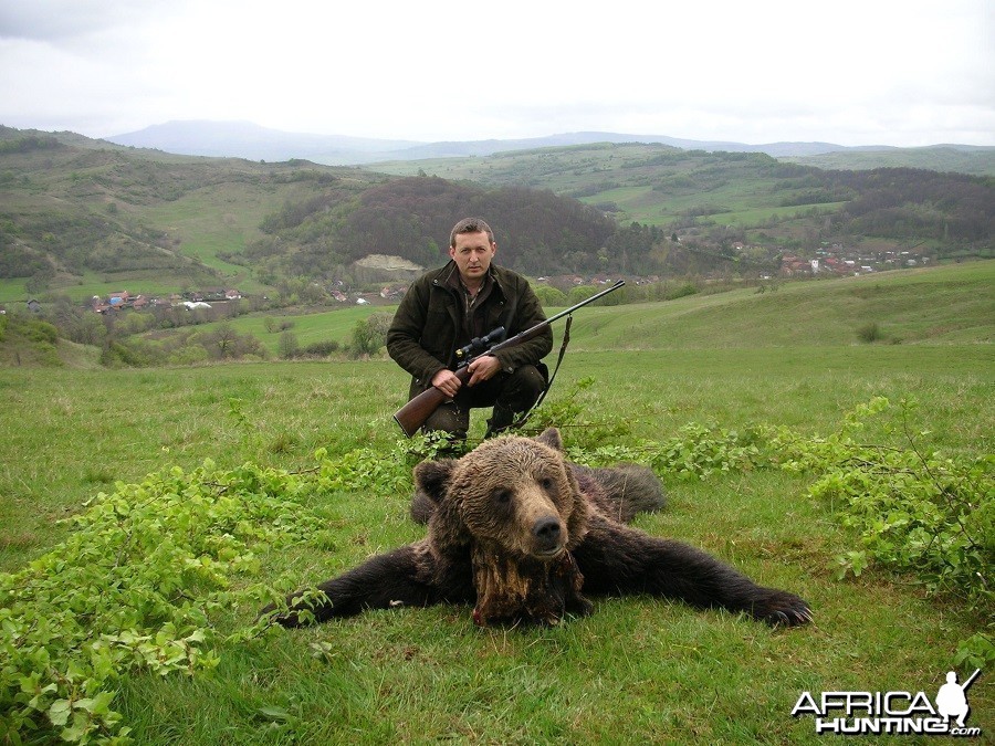 Hunting Brown Bear in Romania