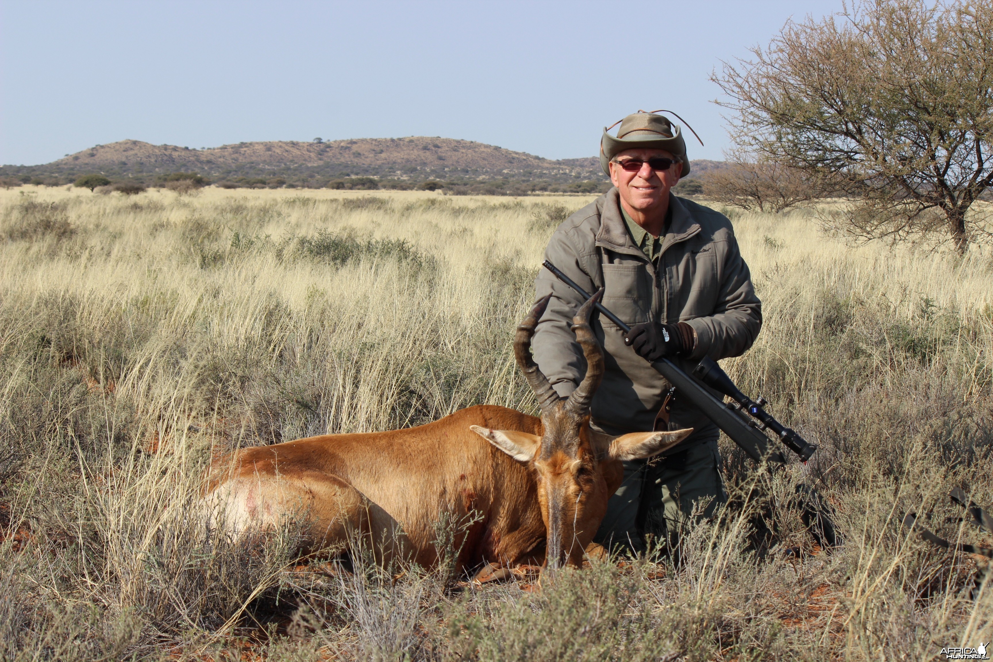 Hartebeest