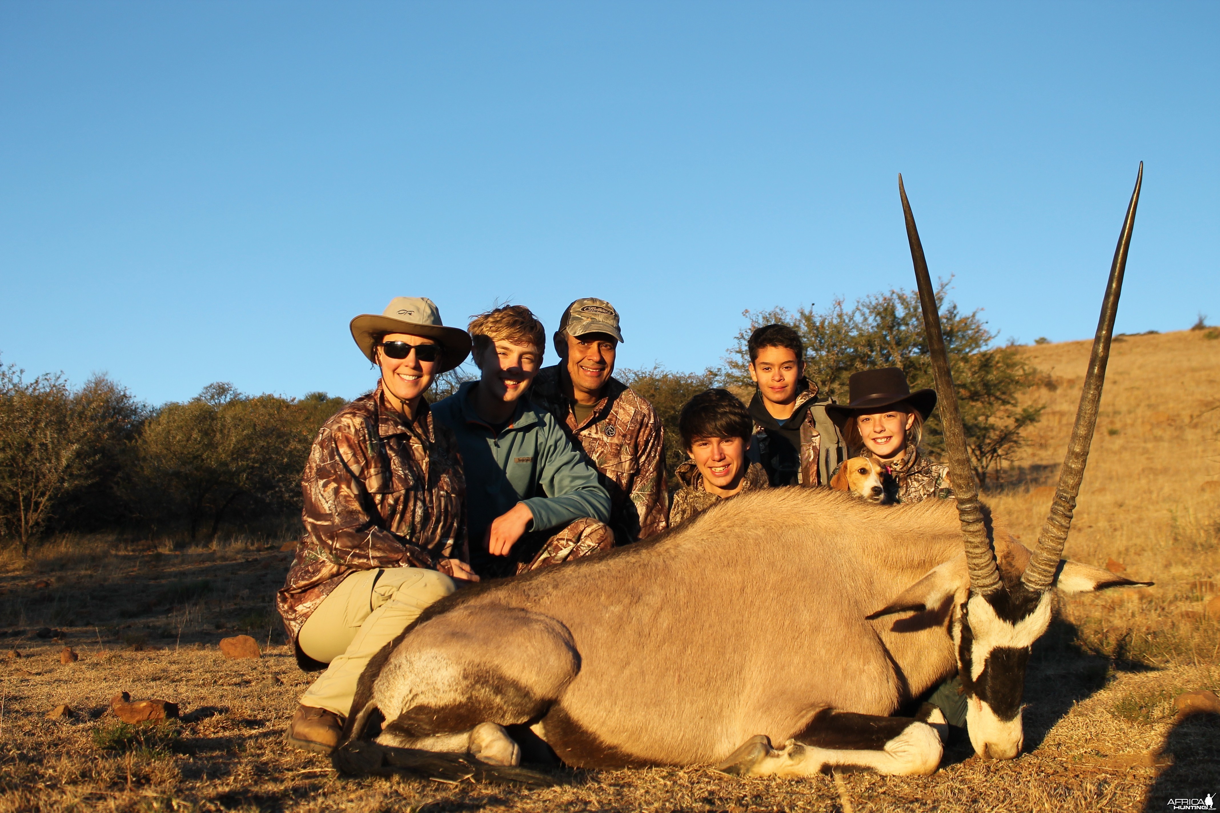 Noah's Gemsbok