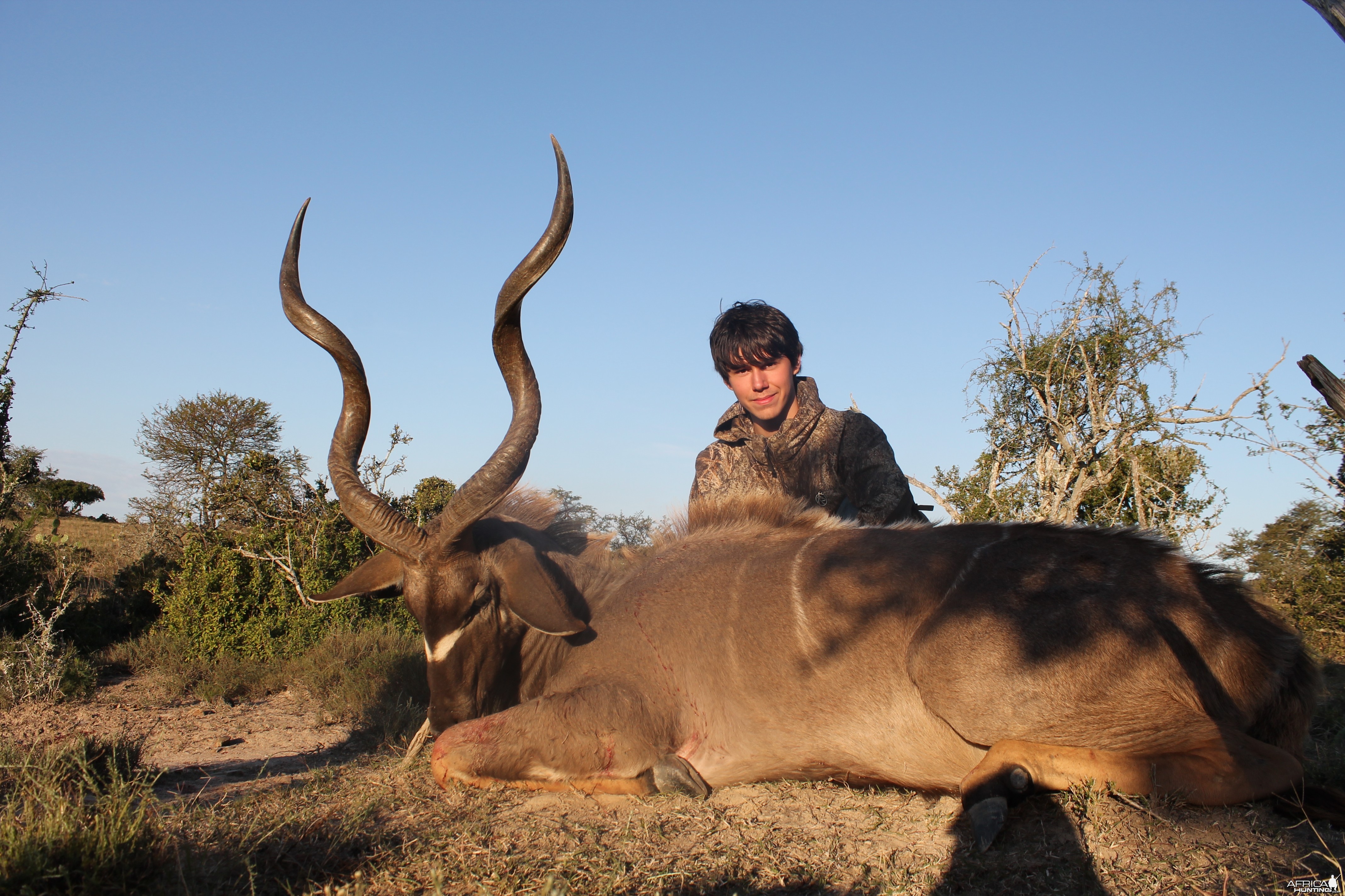 Robbie's Kudu