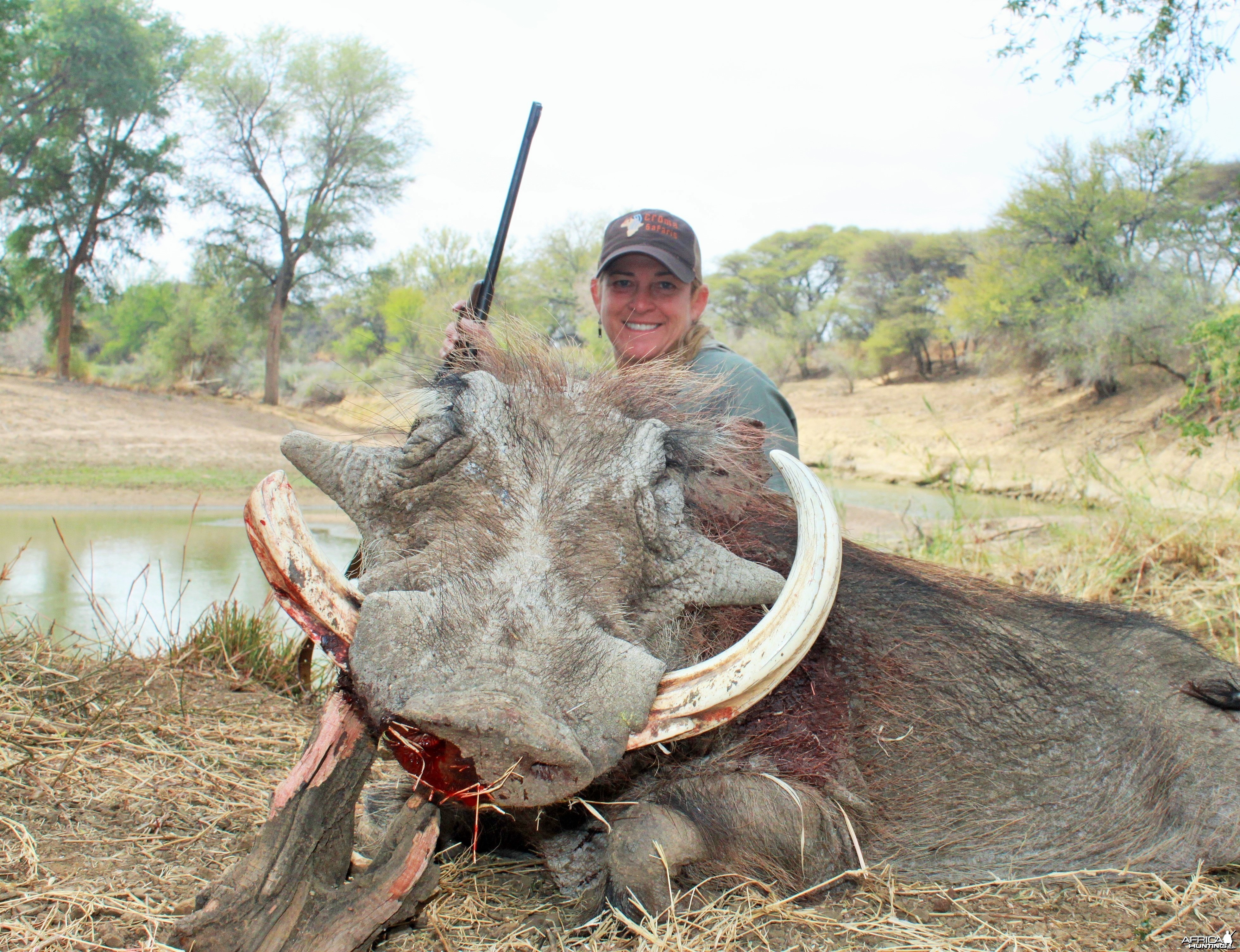 Marico River Warthog Limcroma Safaris 2015