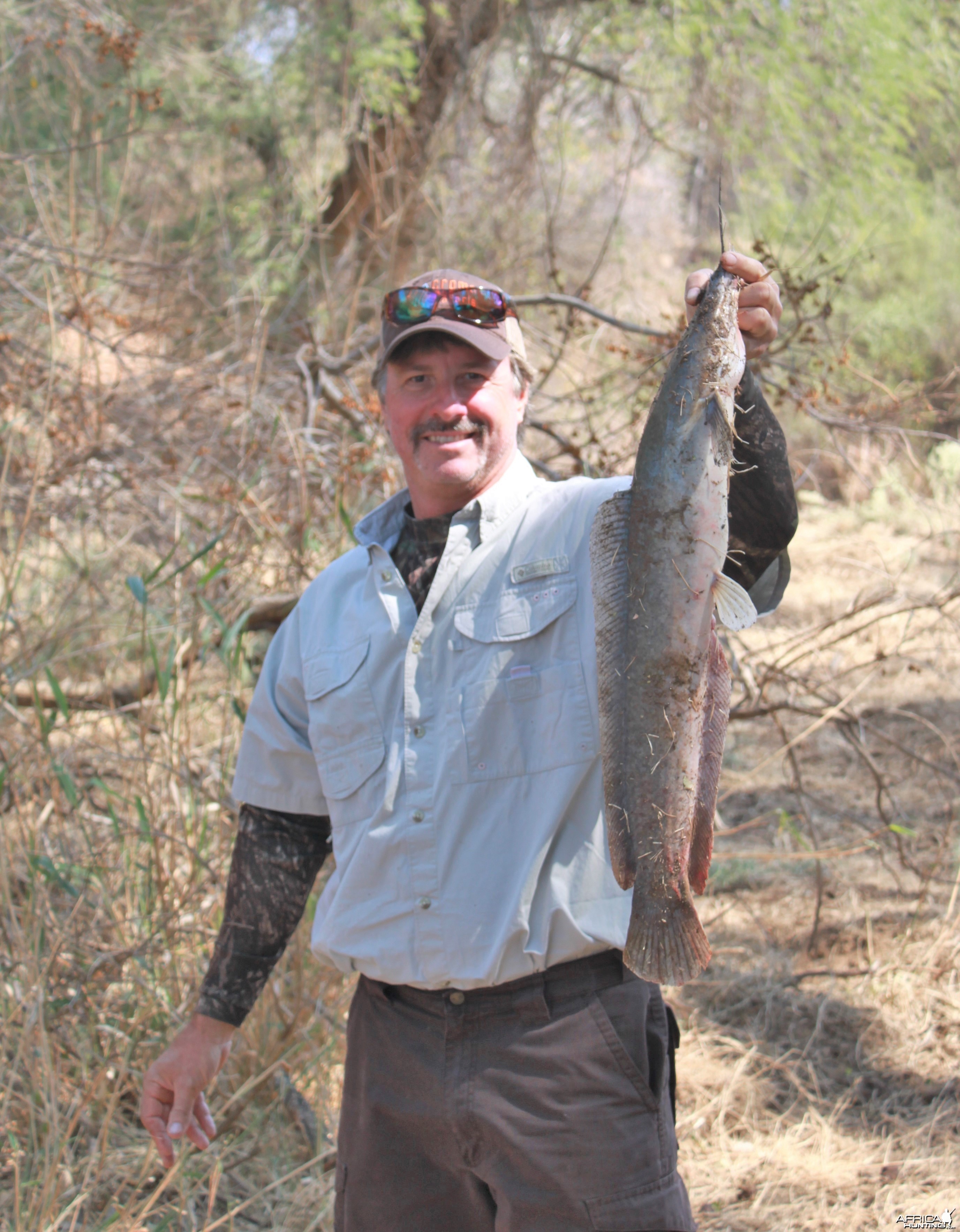 Marico River Catfish Limcroma Safaris