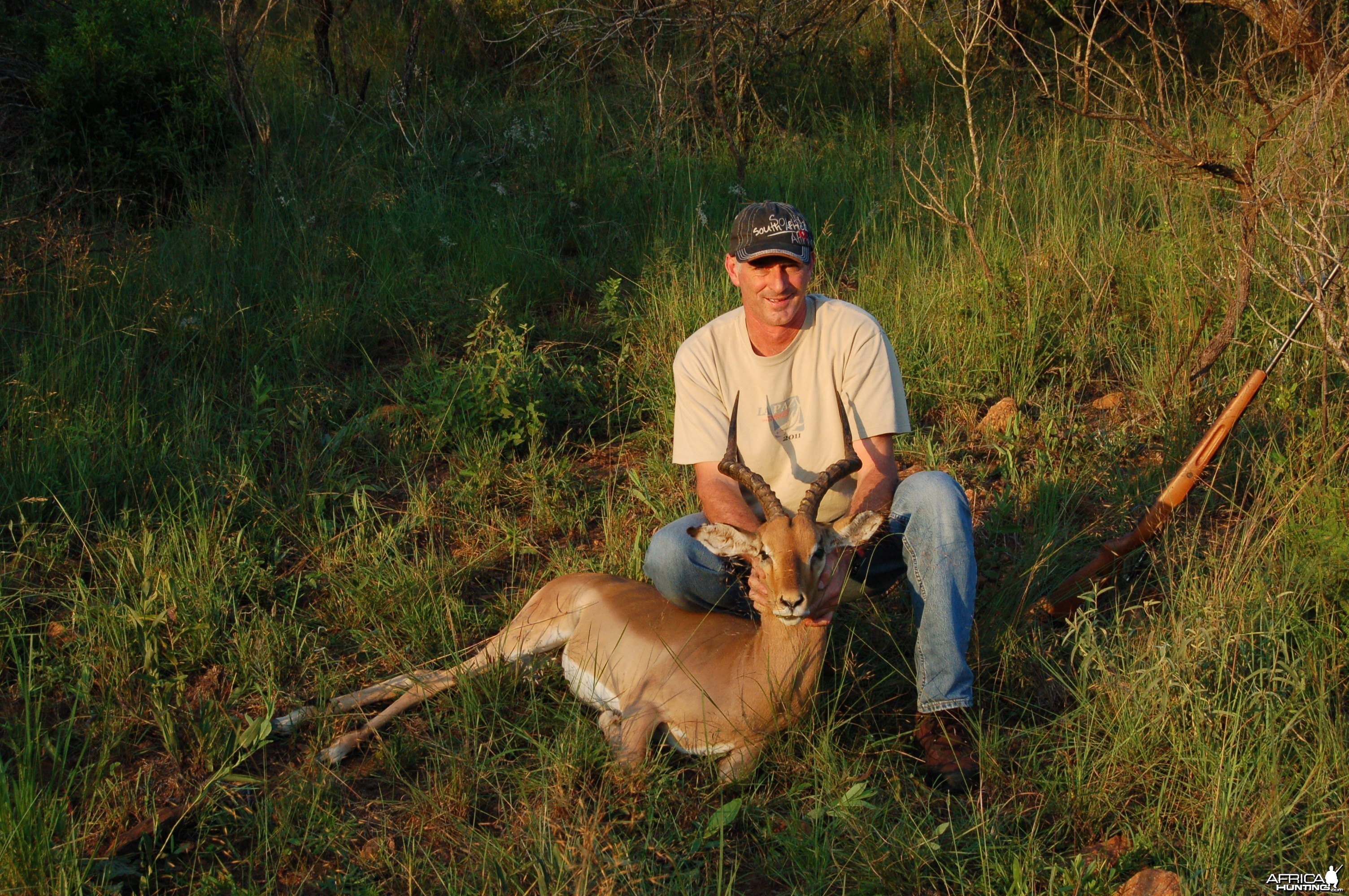 Impala