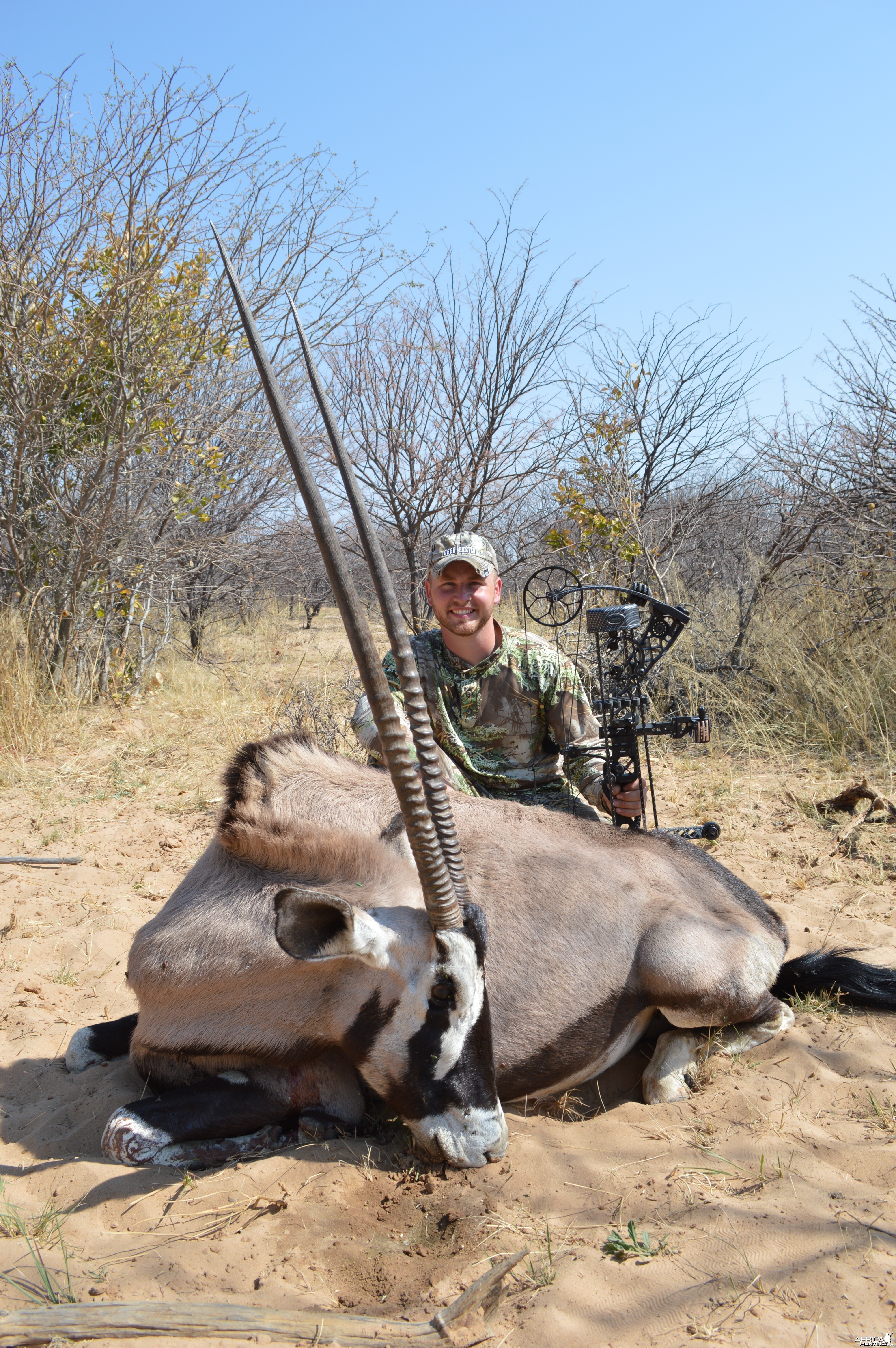 Gemsbok