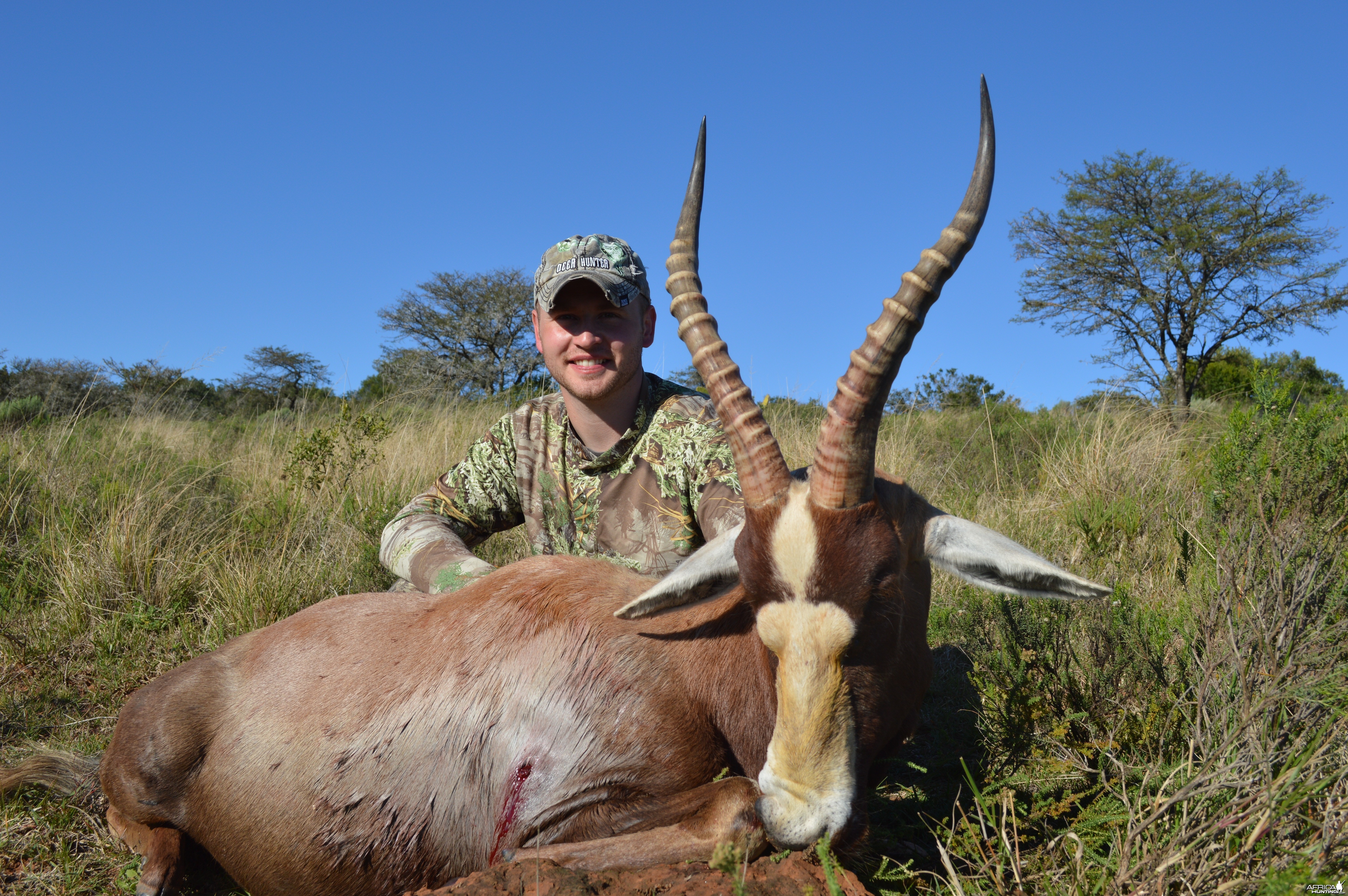 Monster Blesbok