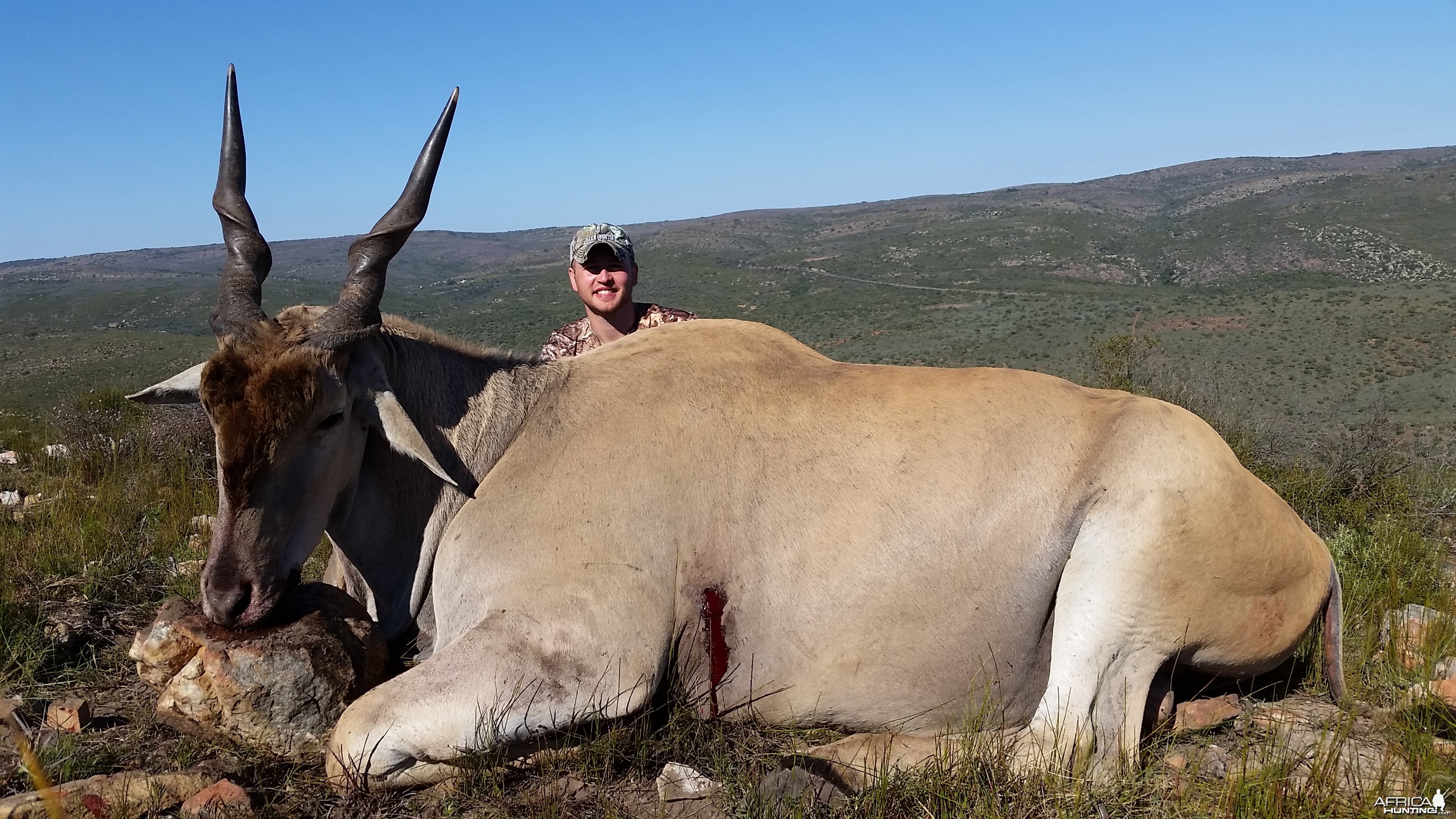 Eland