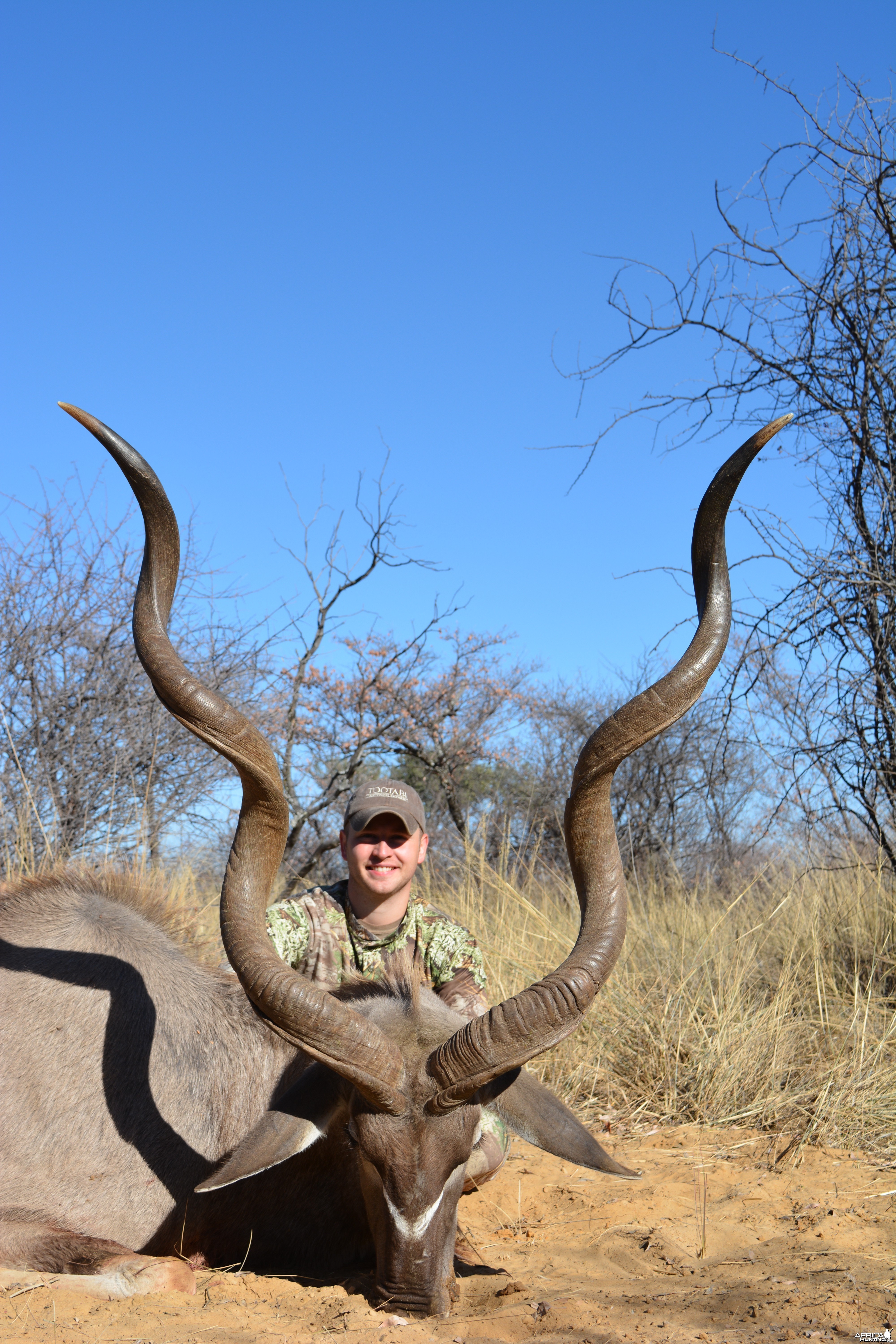 Big Kudu