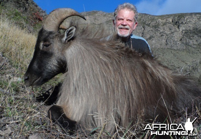 Hunting Tahr in New Zealand