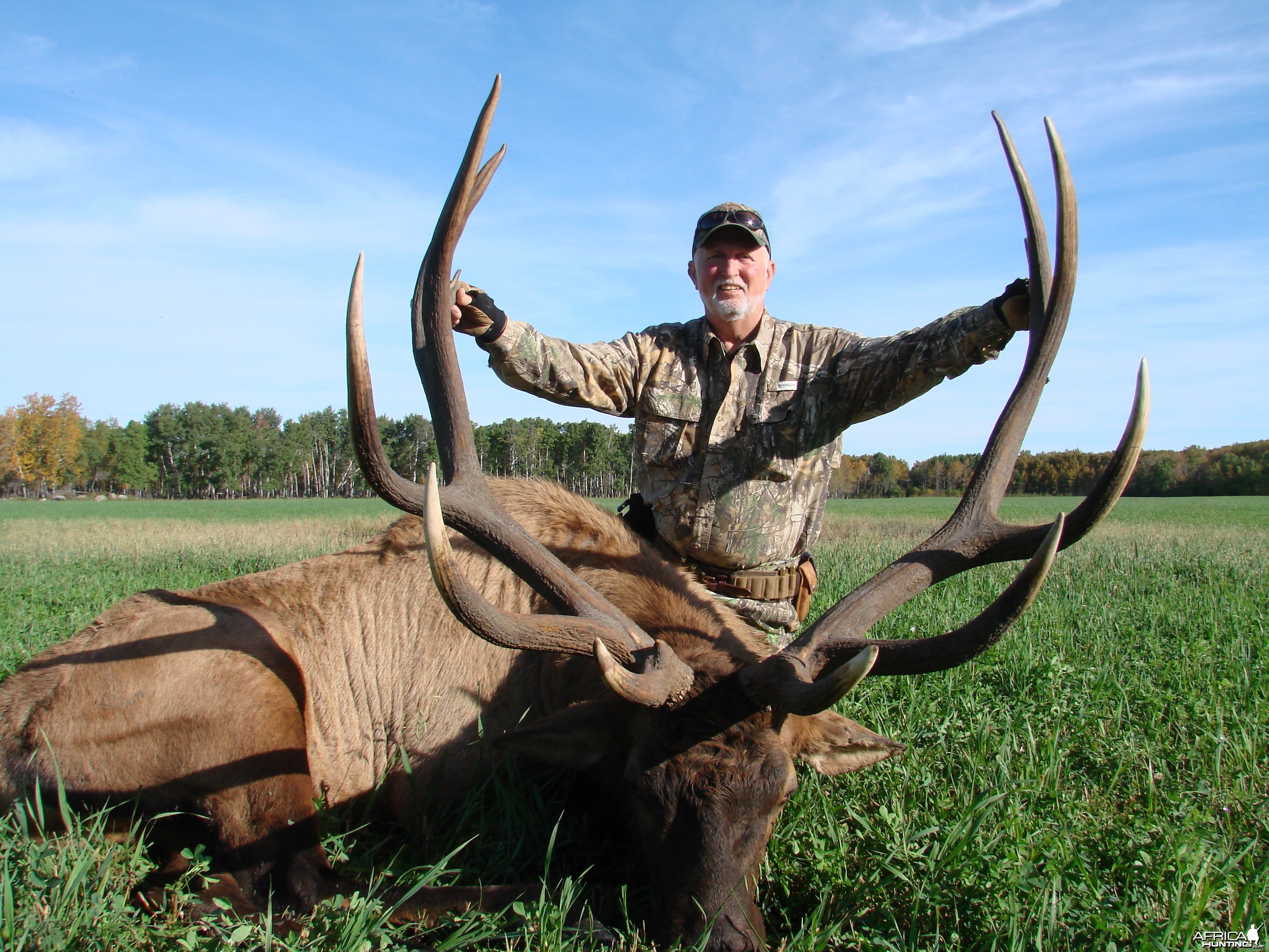 Saskatchewan Elk 2015