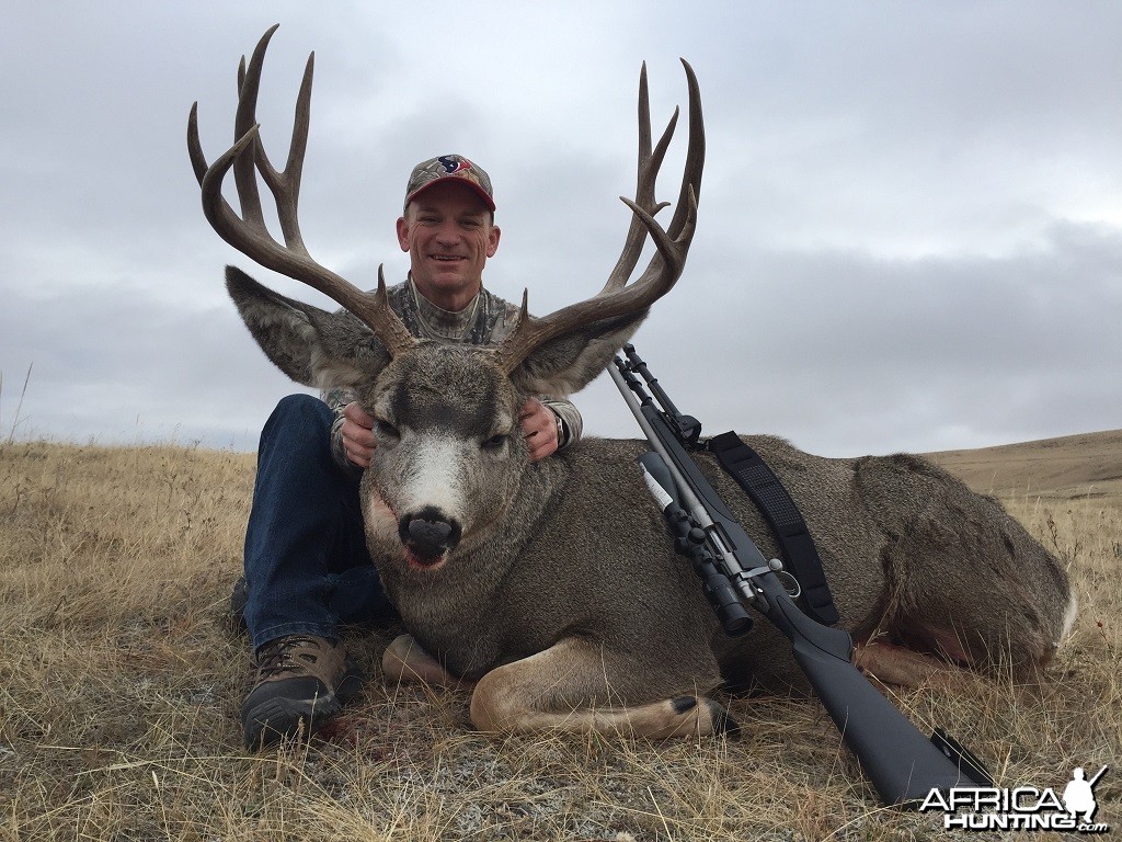 Alberta Mule Deer Hunt