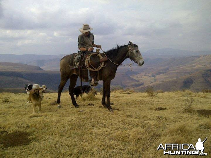 Horseback Hunts - Free Range