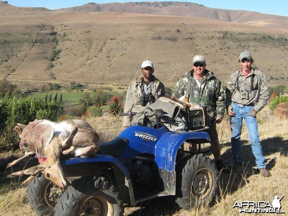 Mountain Reedbuck Hunting Mankazana Valley