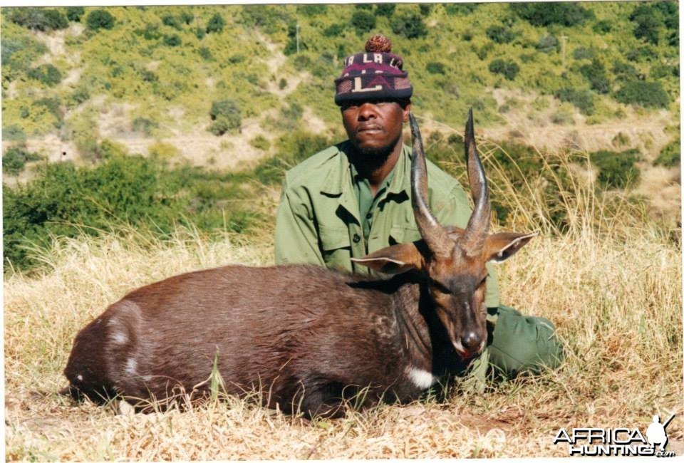 Bushbuck - Free range Mankazana Valley