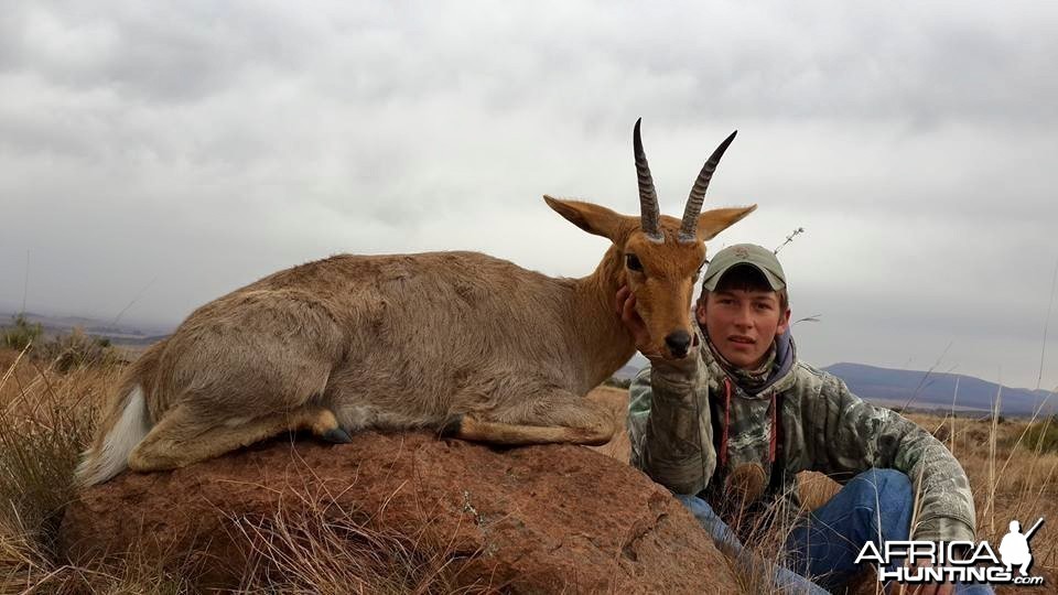 Top class Mountain Reedbuck - 7 Rowland Ward trophies 2015.