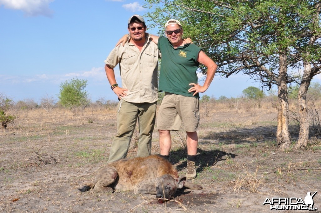 Hunting in the Selous Spotted Hyena