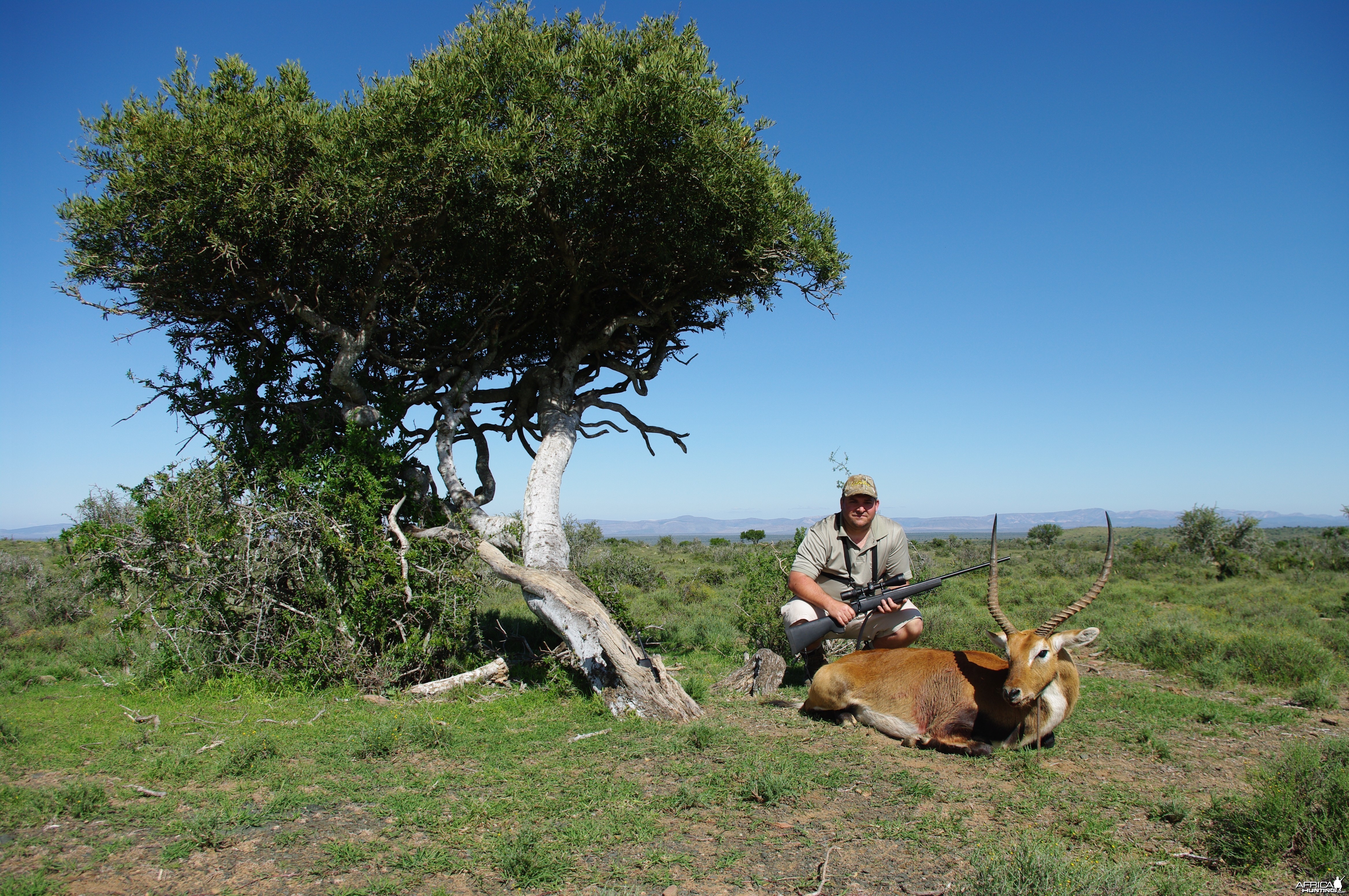 Lechwe