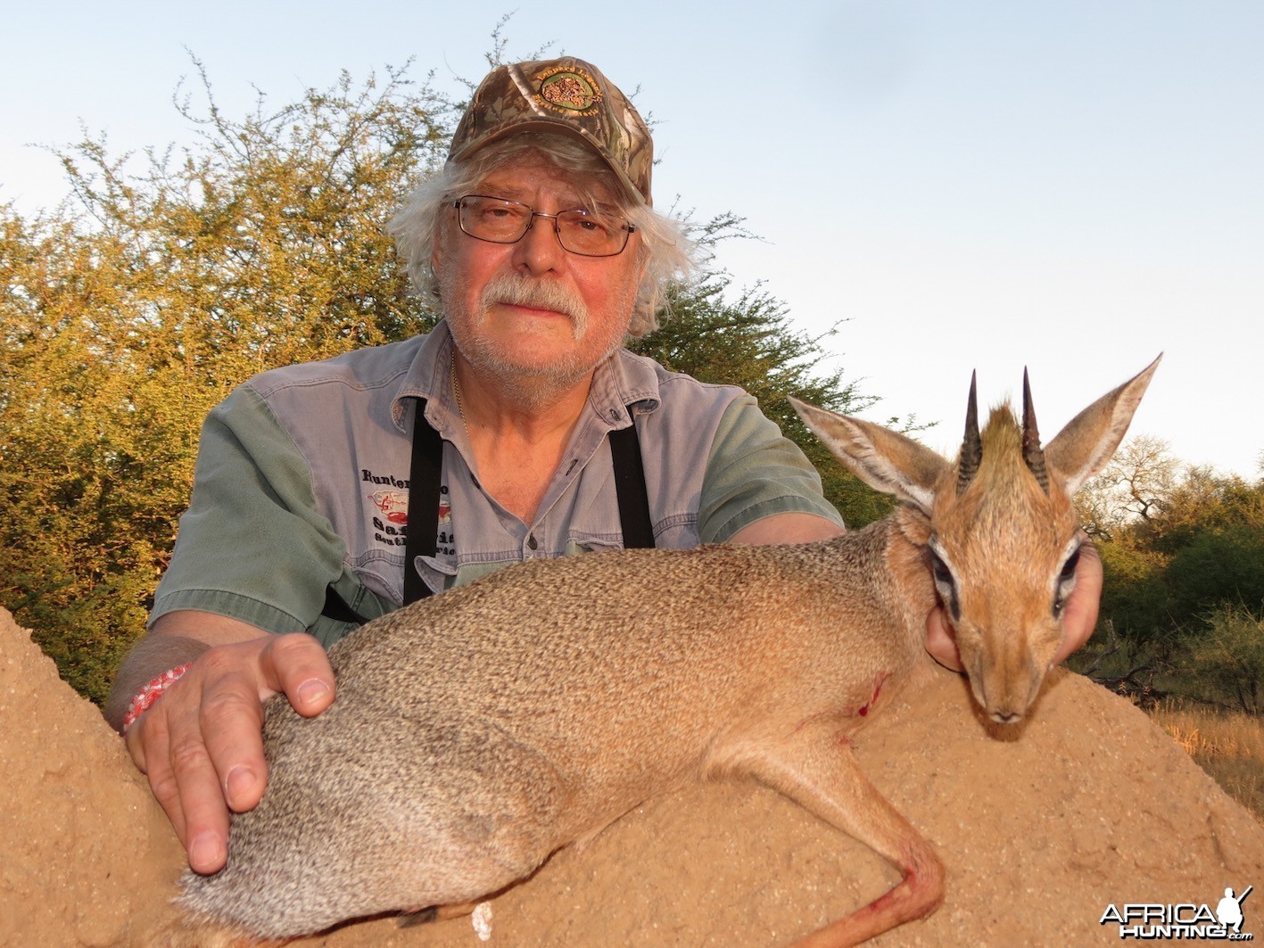 Only found in  Namibia Damara Dik-Dik