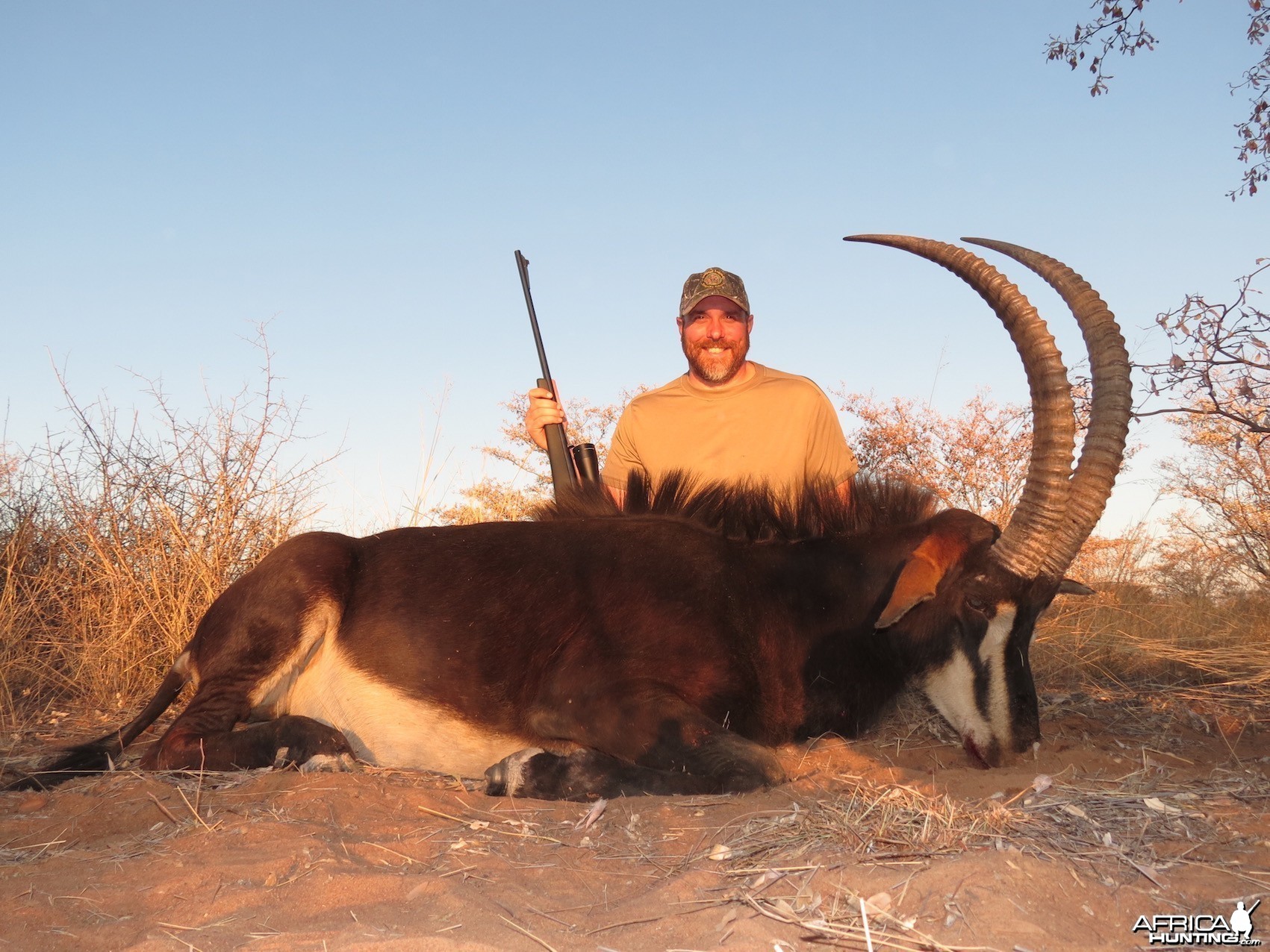 Sable.  Leopard Legend Hunting Safaris - Namibia