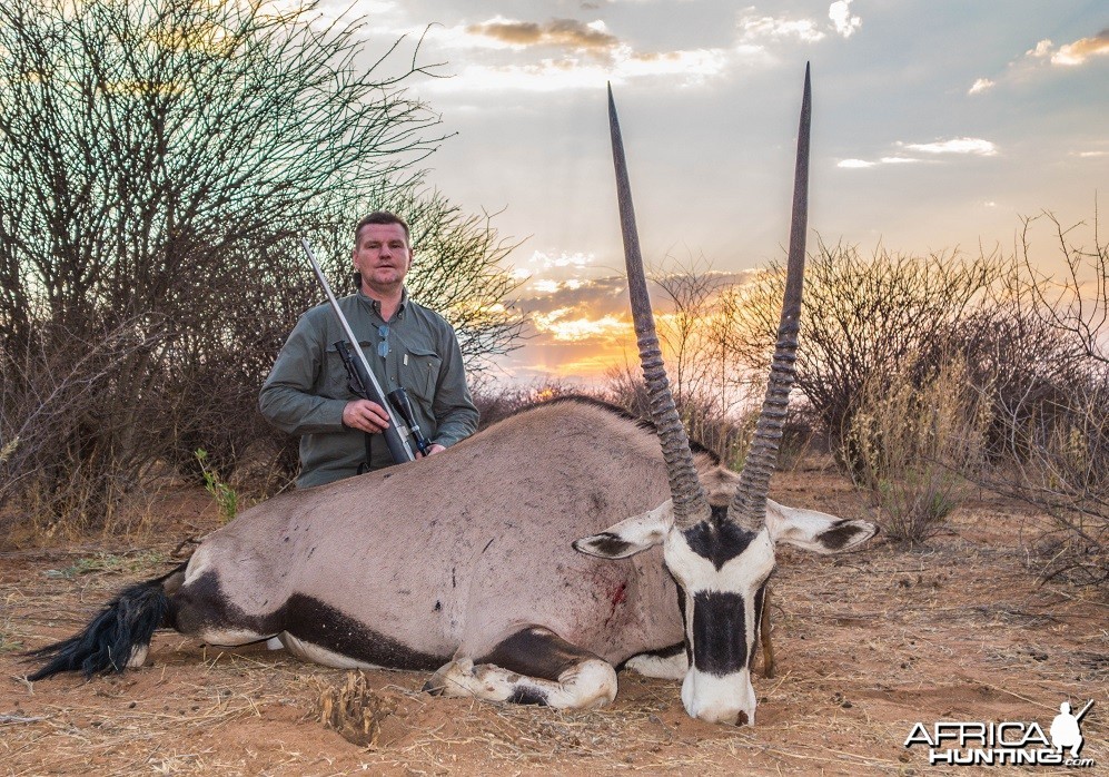 Gemsbok 37 inches