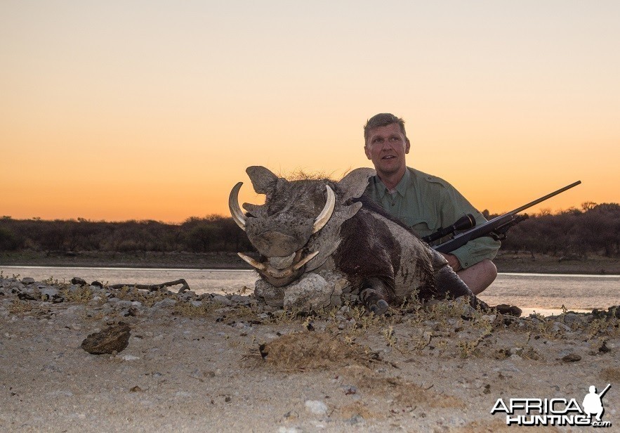 Warthog 11 inches