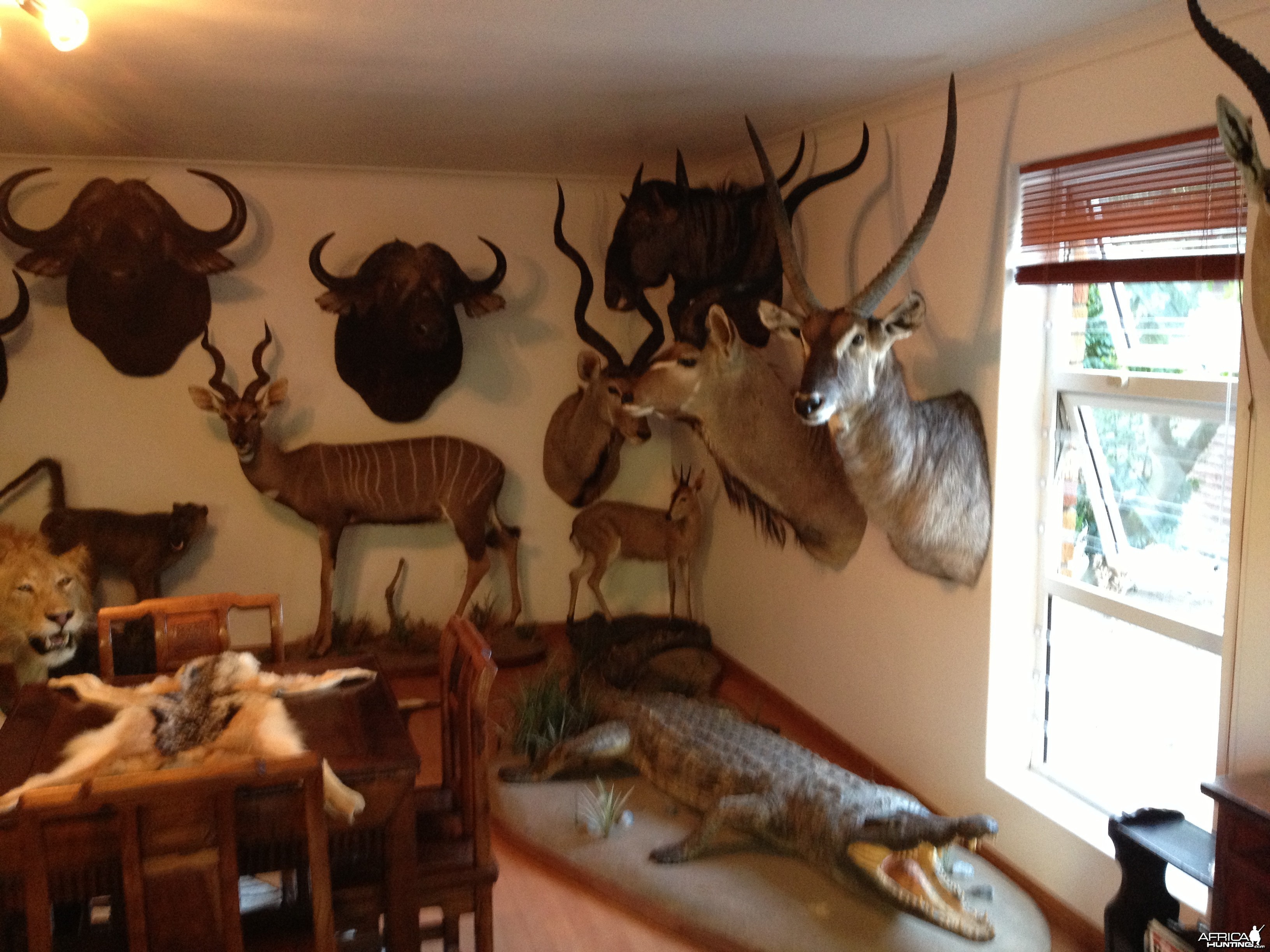 Trophy Room