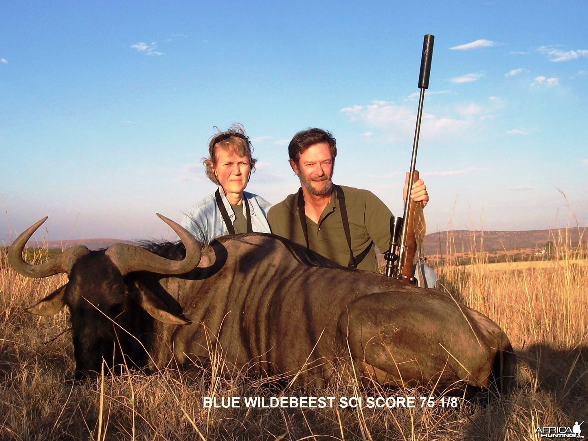 Blue Wildebeest