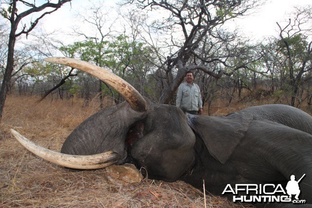 elephant Niassa Reserve Block R3