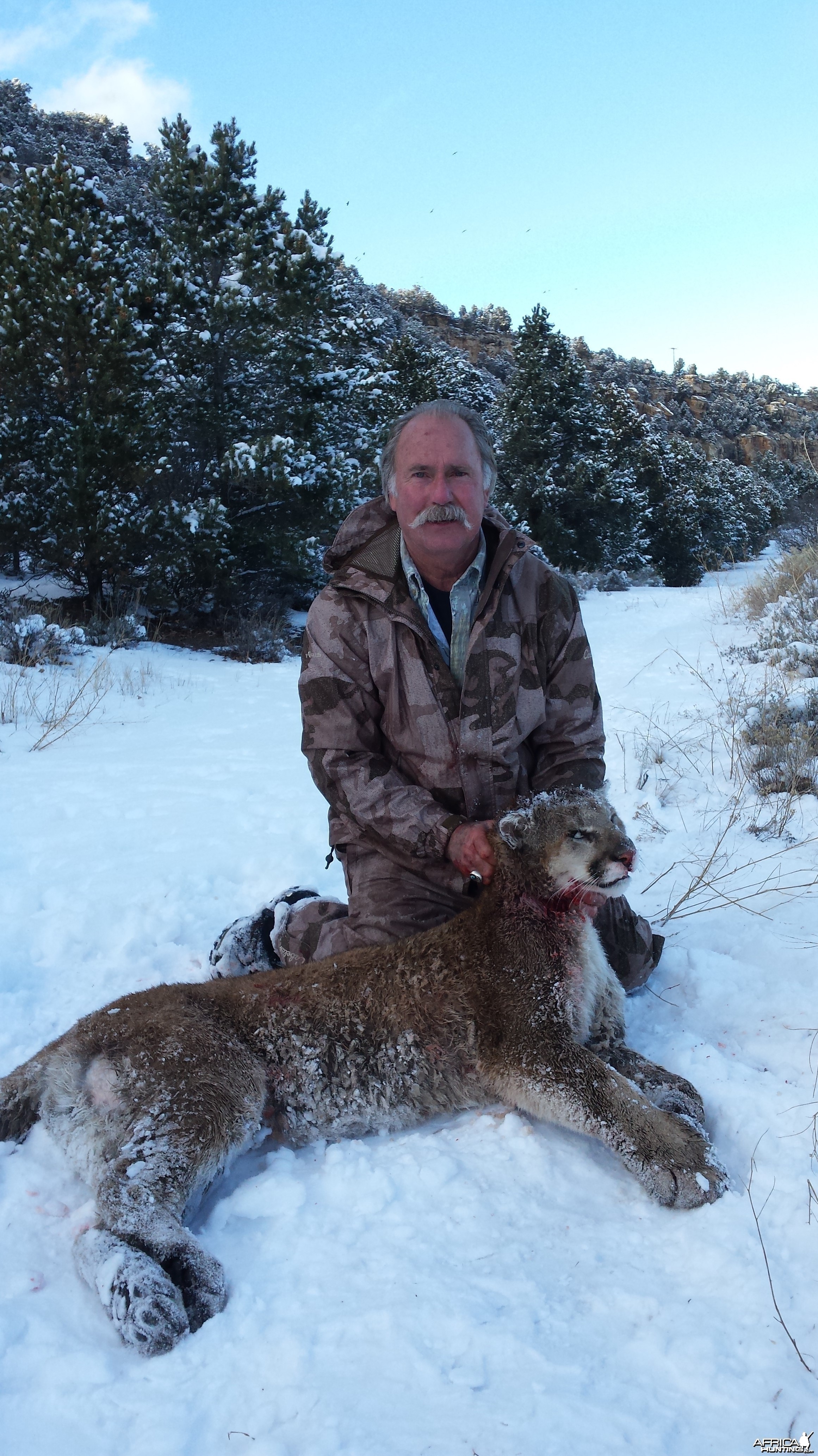 2015 Colorado Mtn Lion